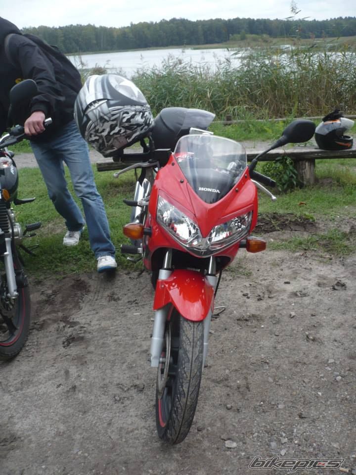 Photo 2600499