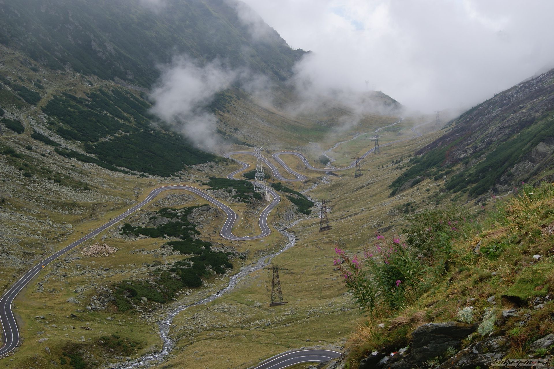 Bike Photo 2600549