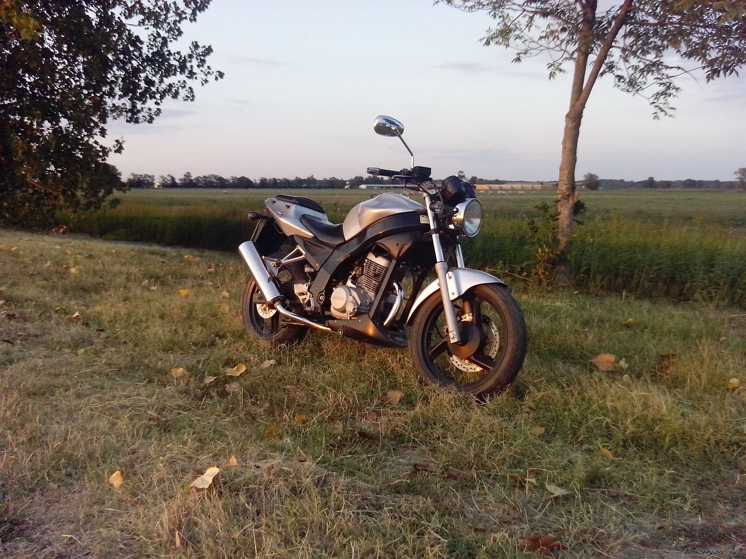 Photo 2600567