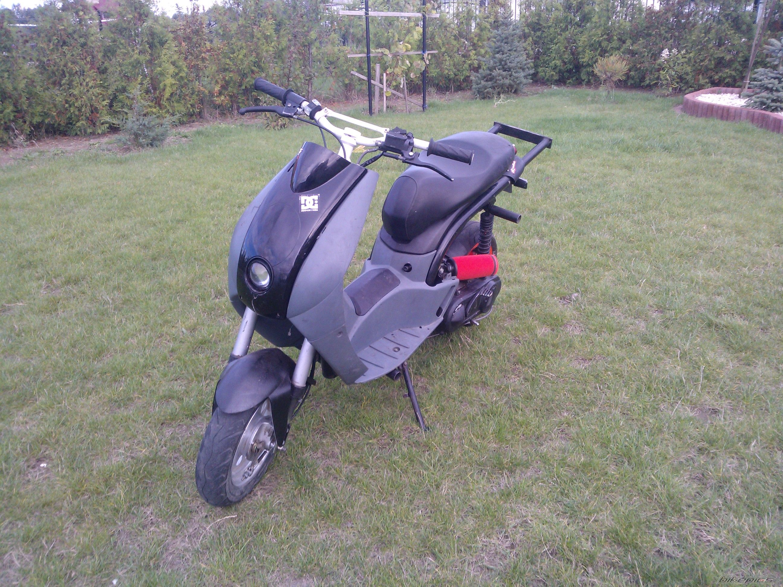Photo 2600637
