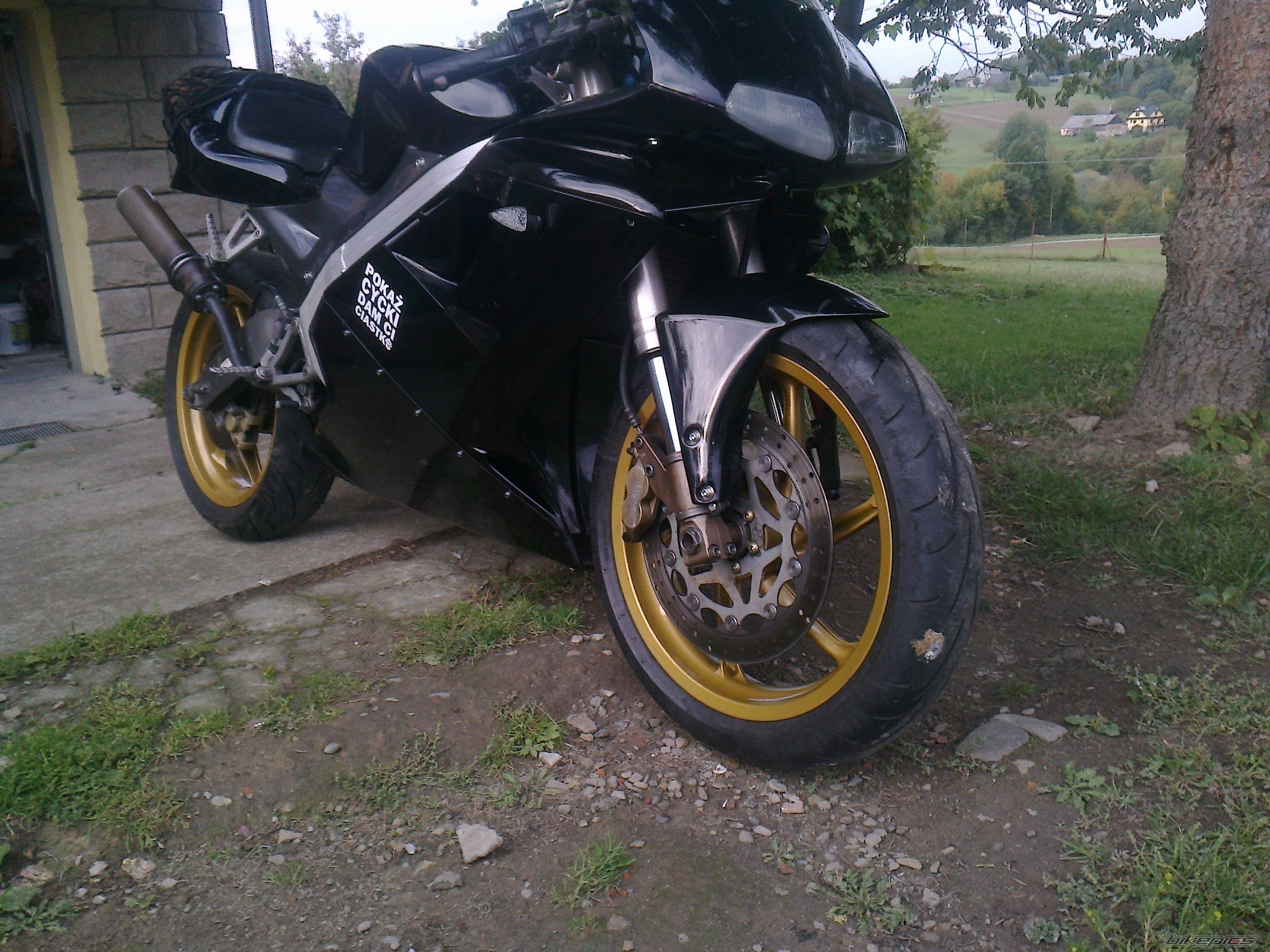 Photo 2600725
