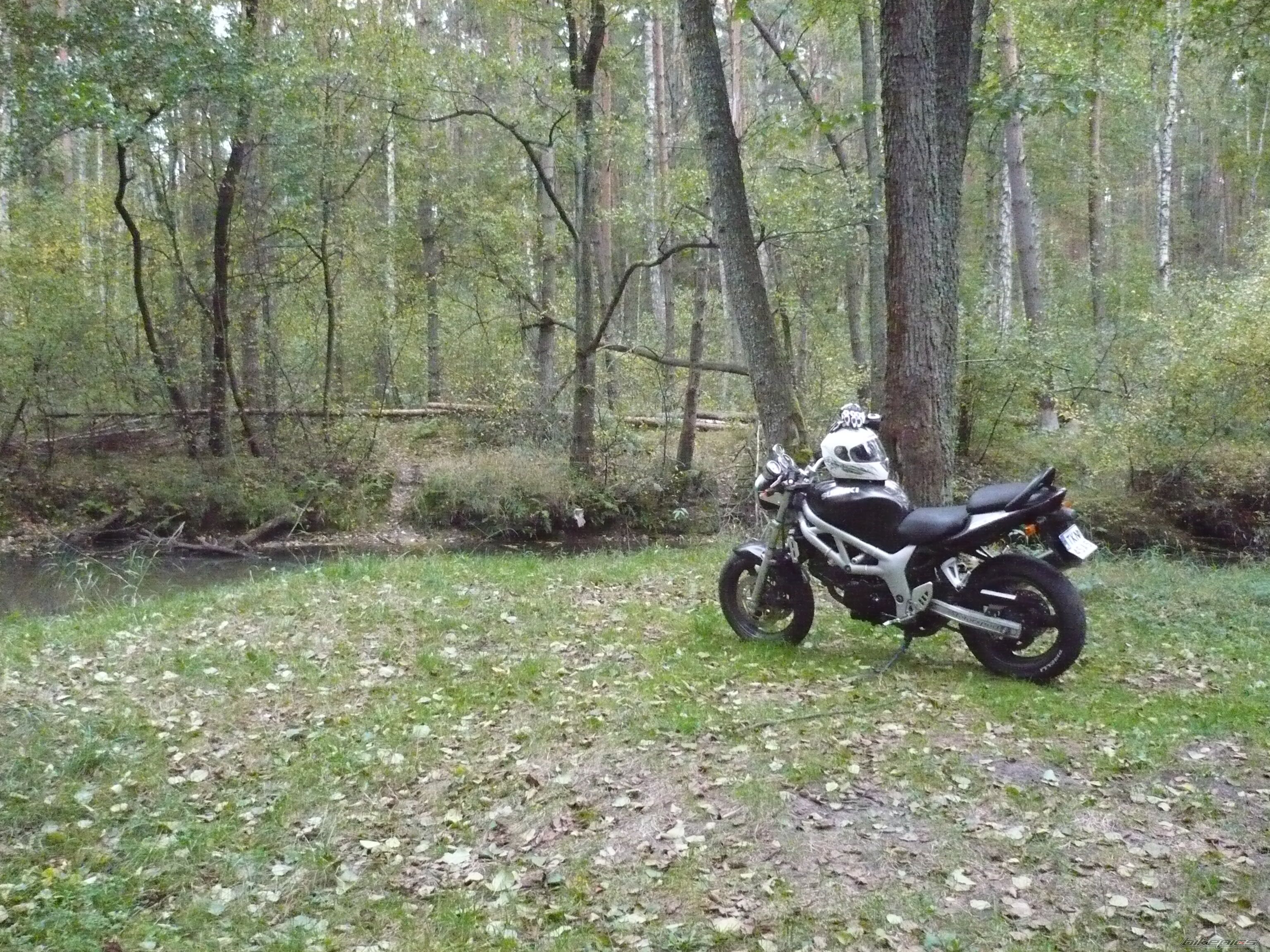 Photo 2600737