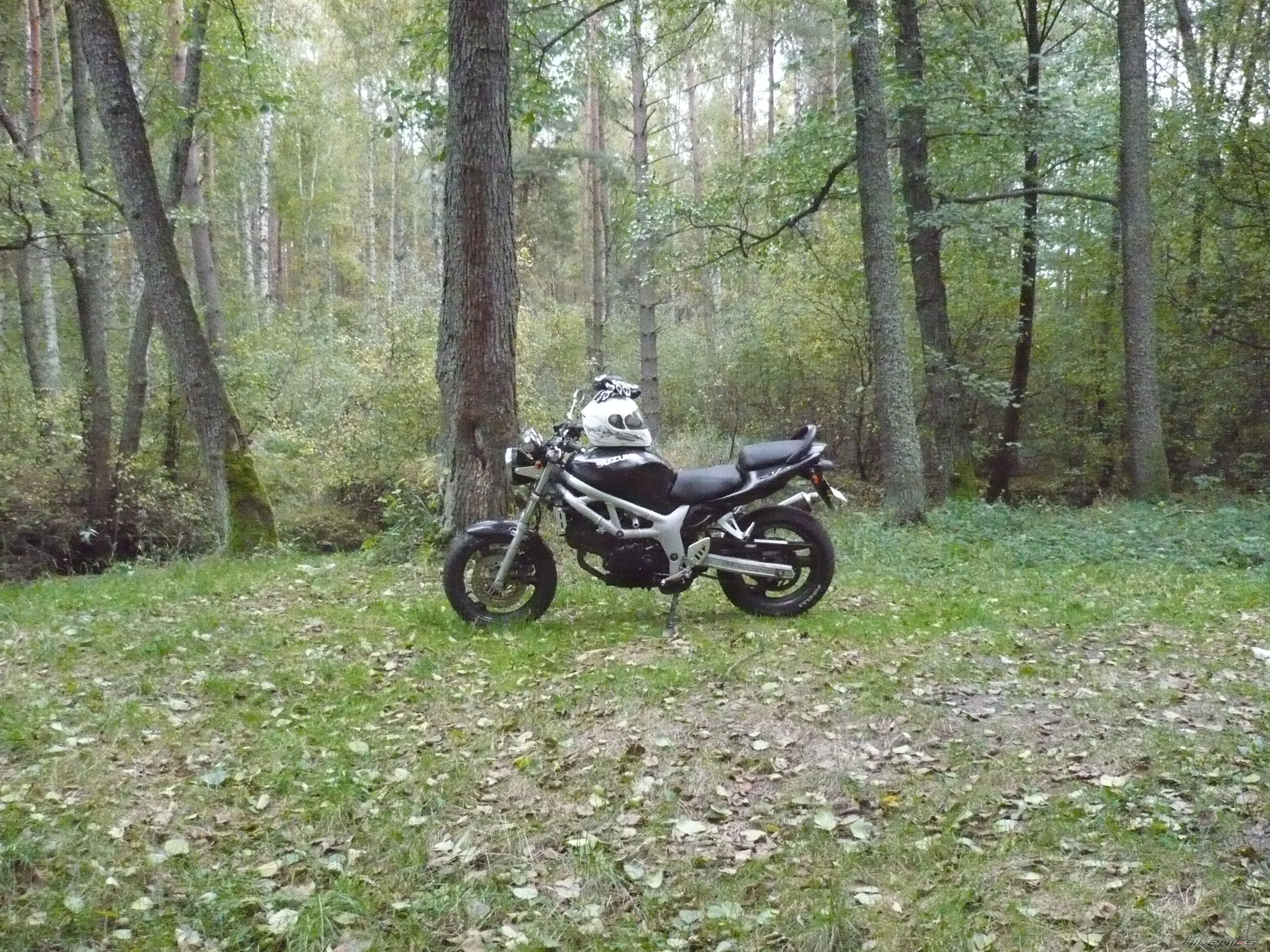 Photo 2600742