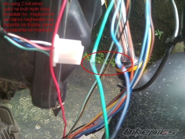 Photo 2601167
