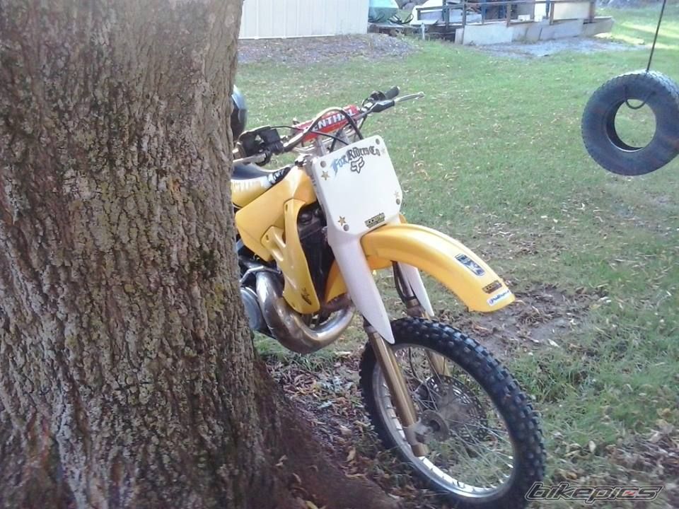 Photo 2601310