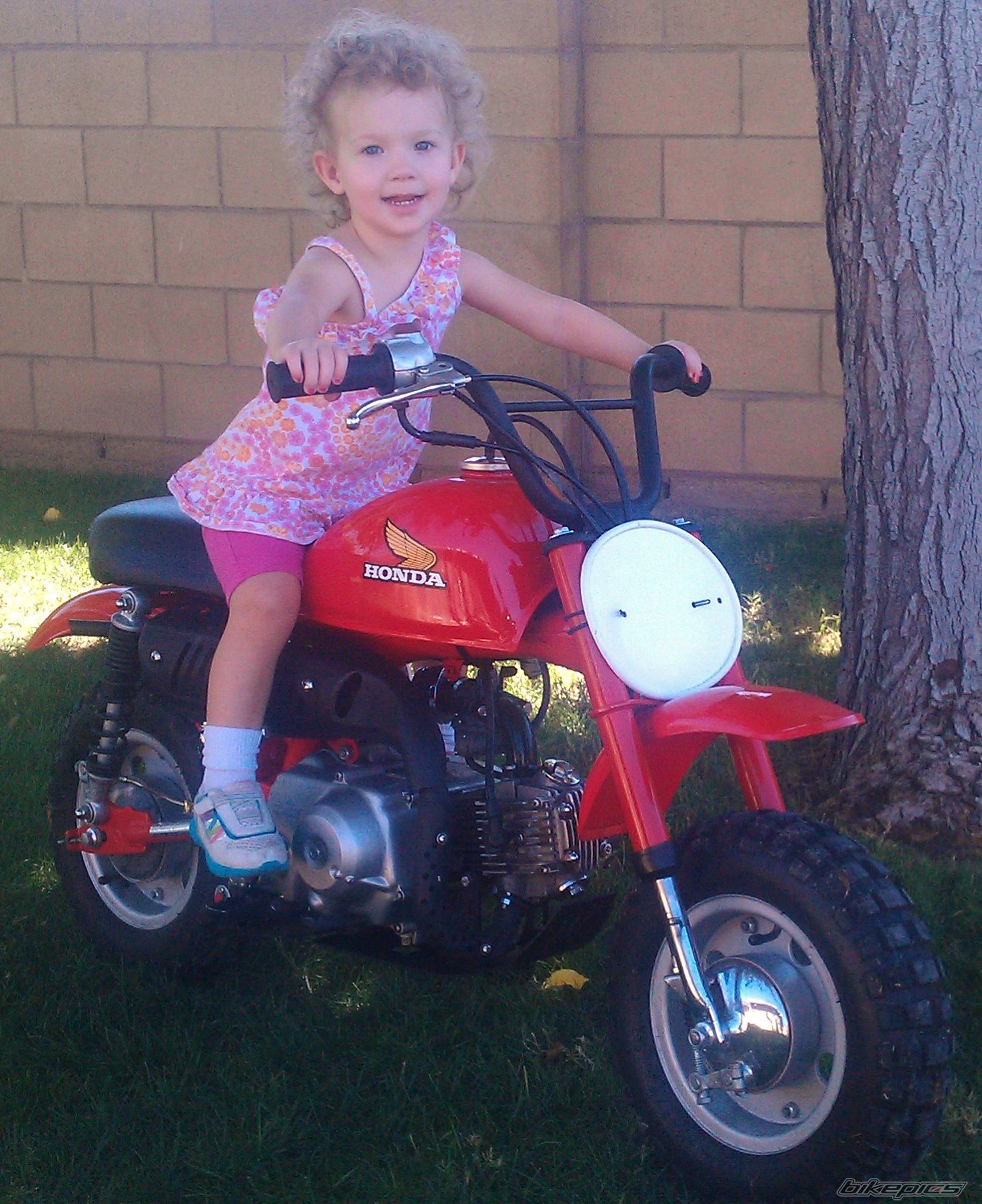 Photo 2601479
