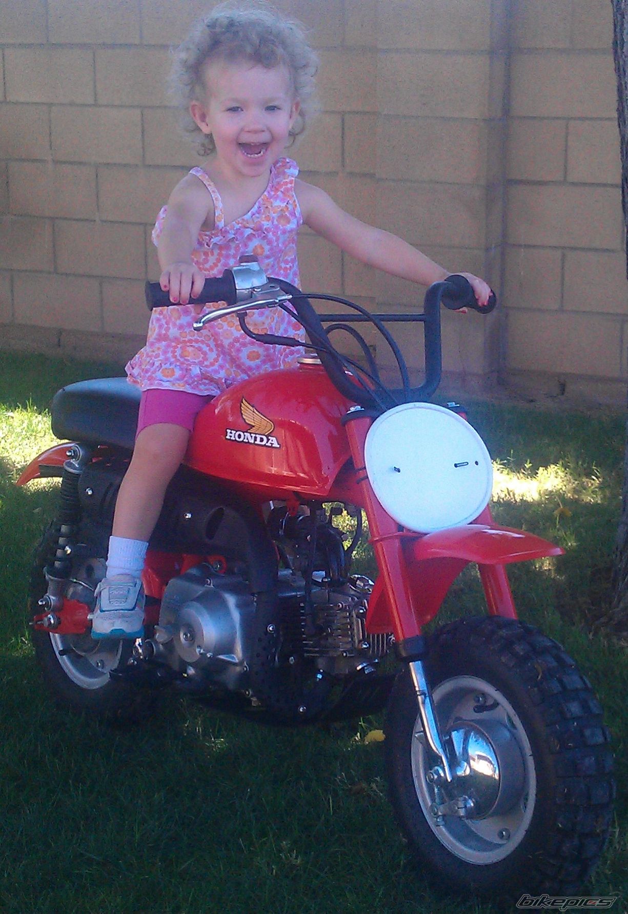 Photo 2601481