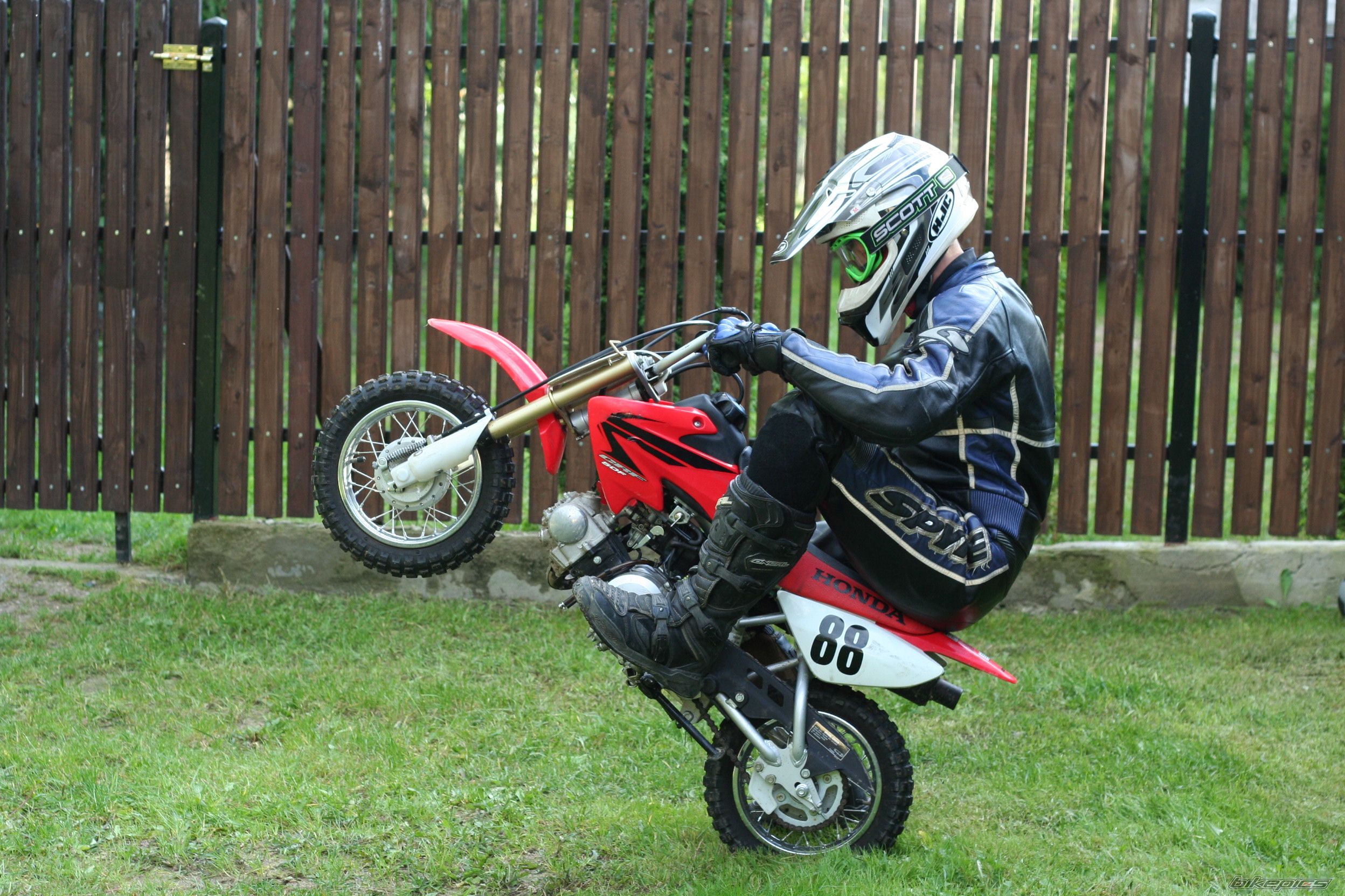 Photo 2601780