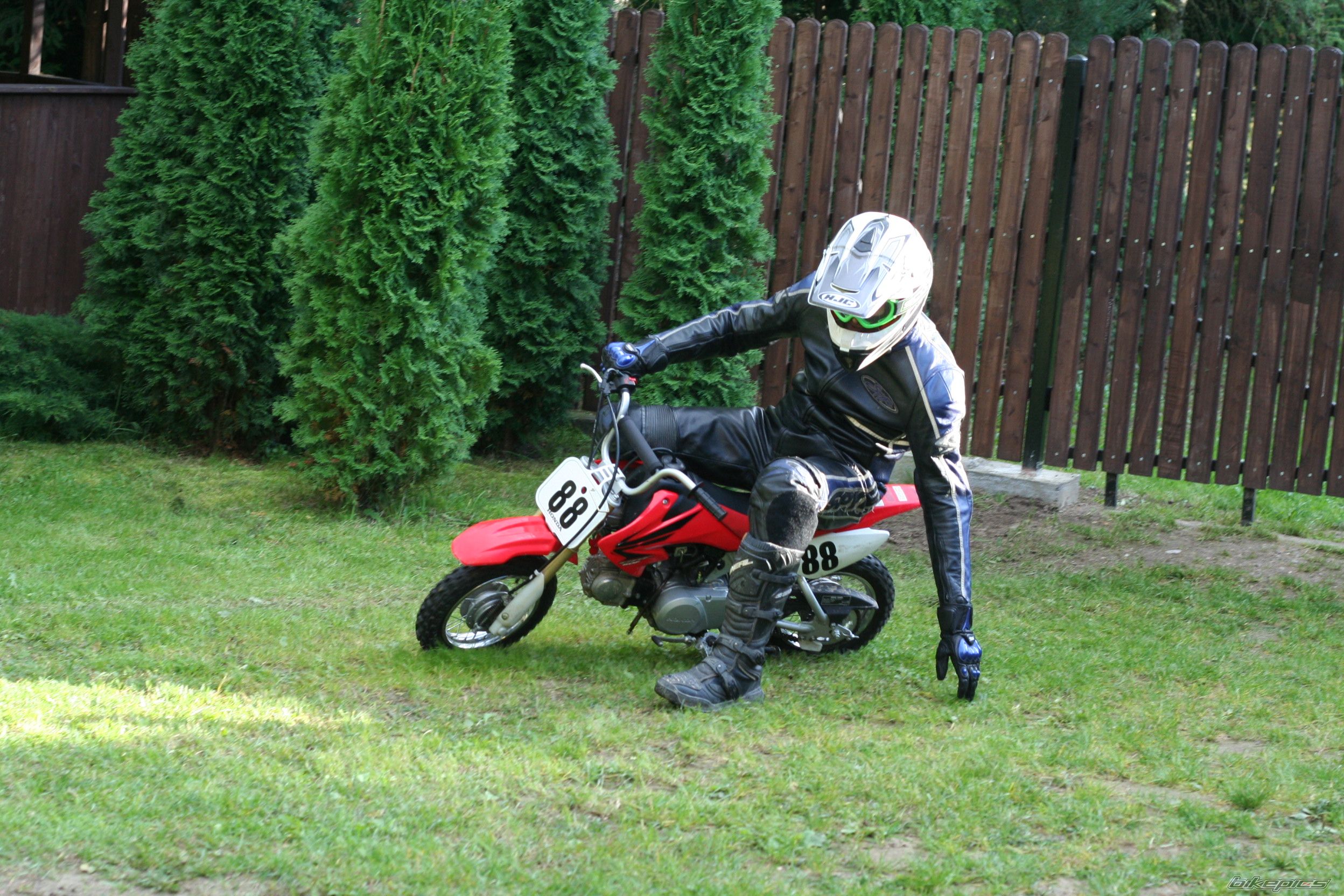 Photo 2601782