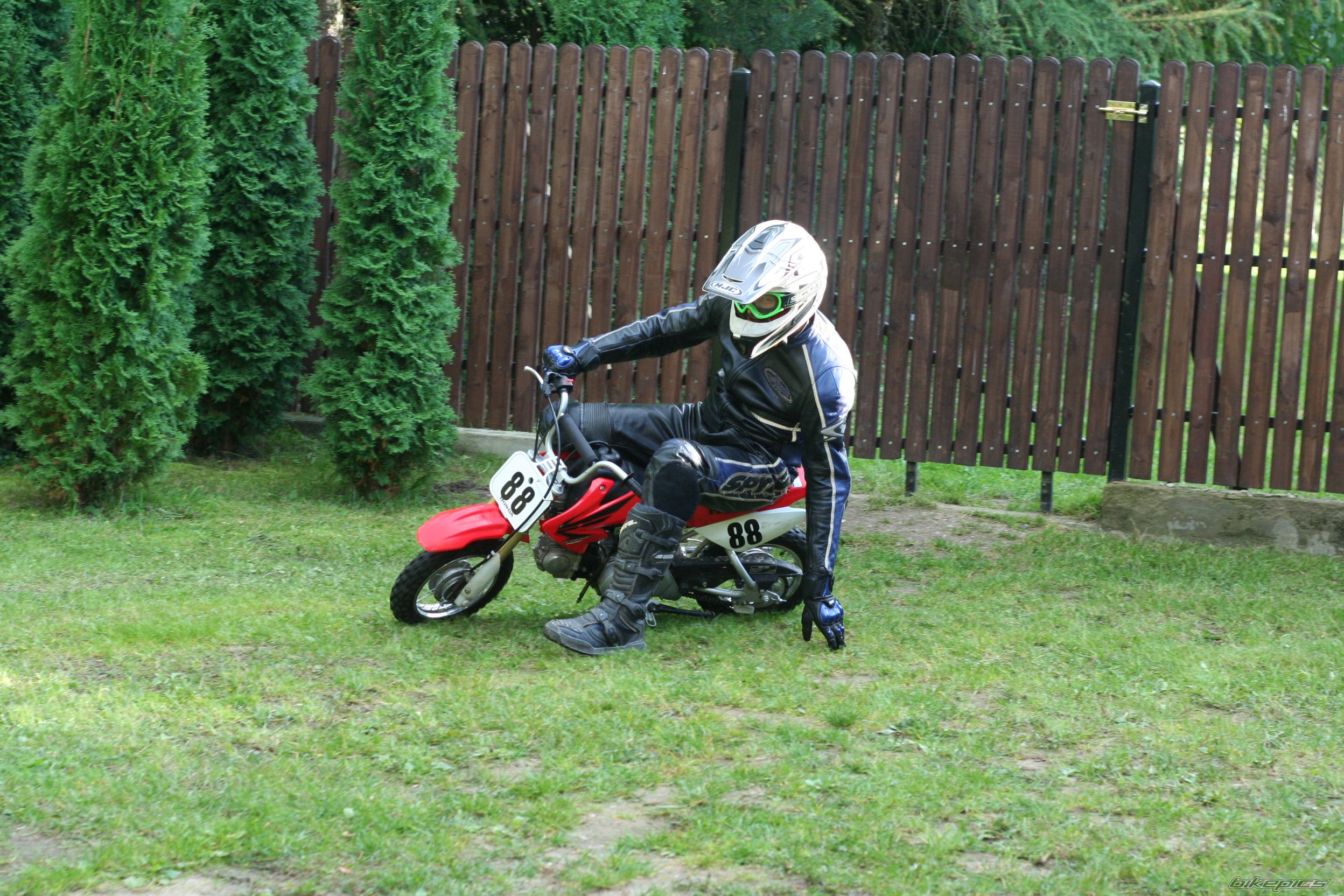 Photo 2601783