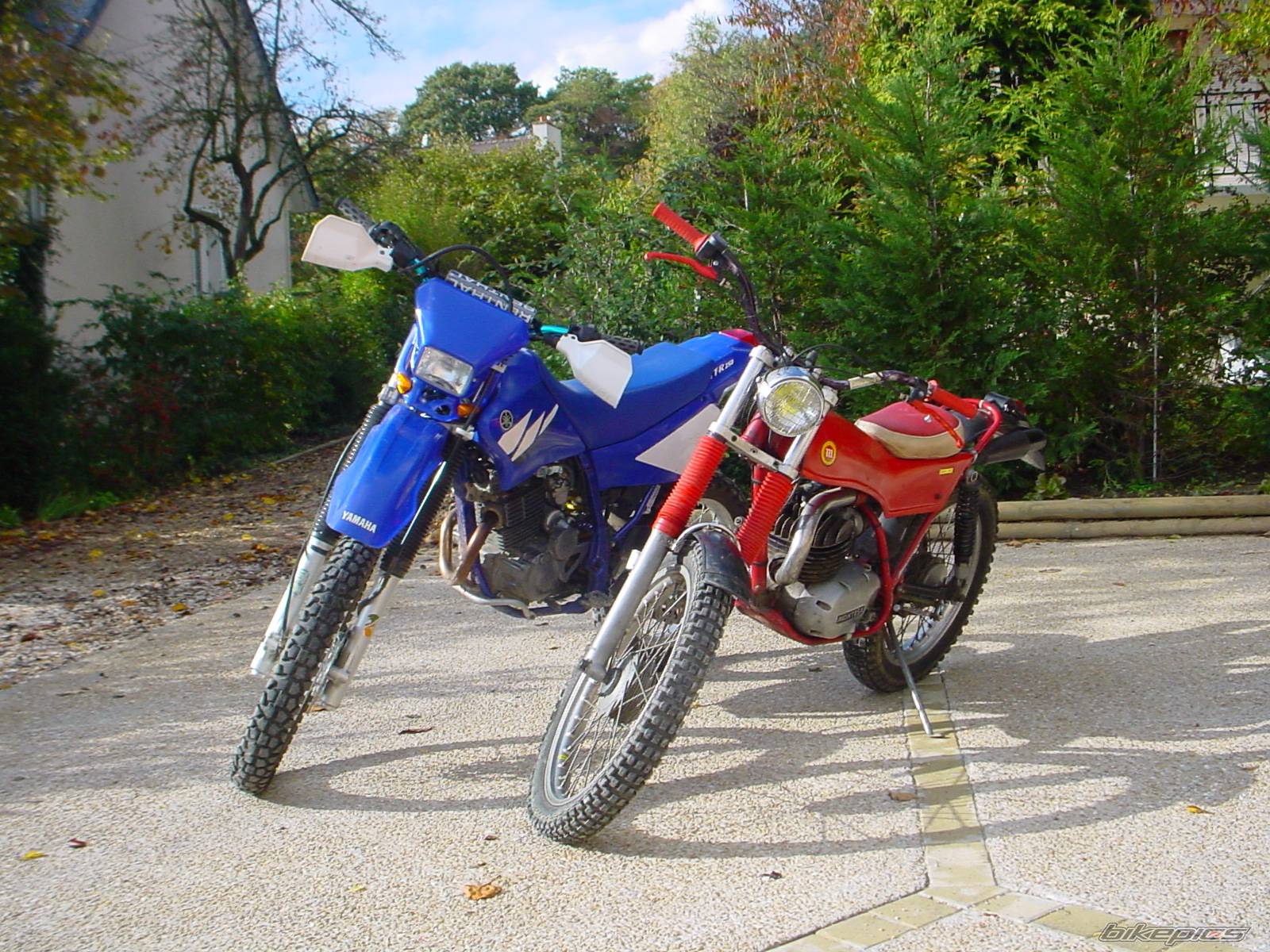 Bike Photo 260181