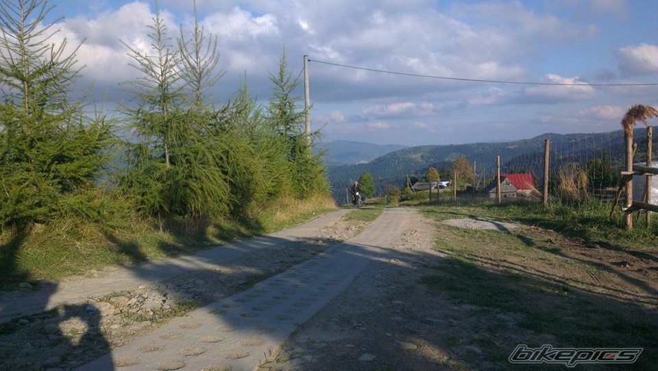 Photo 2601813
