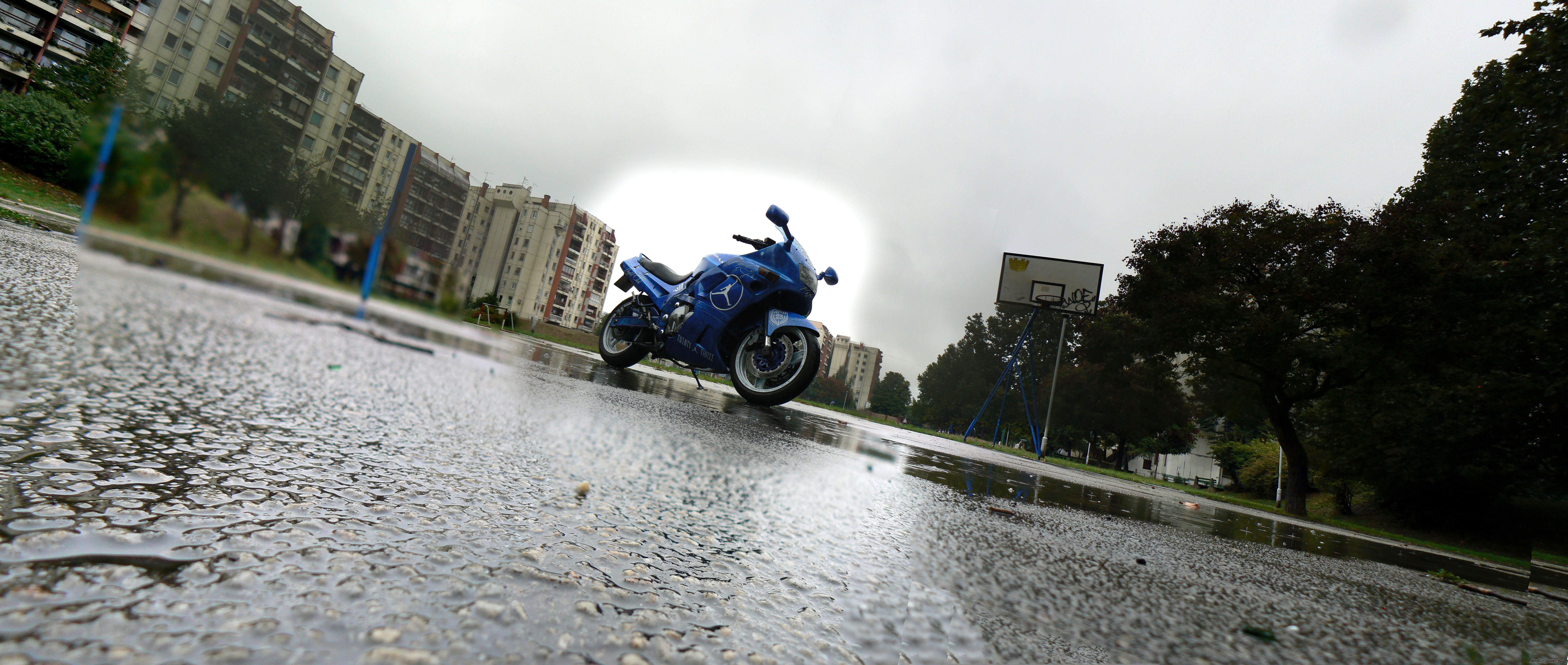 Photo 2601874