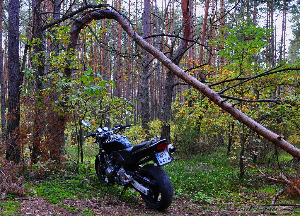 Bike Photo 2601906