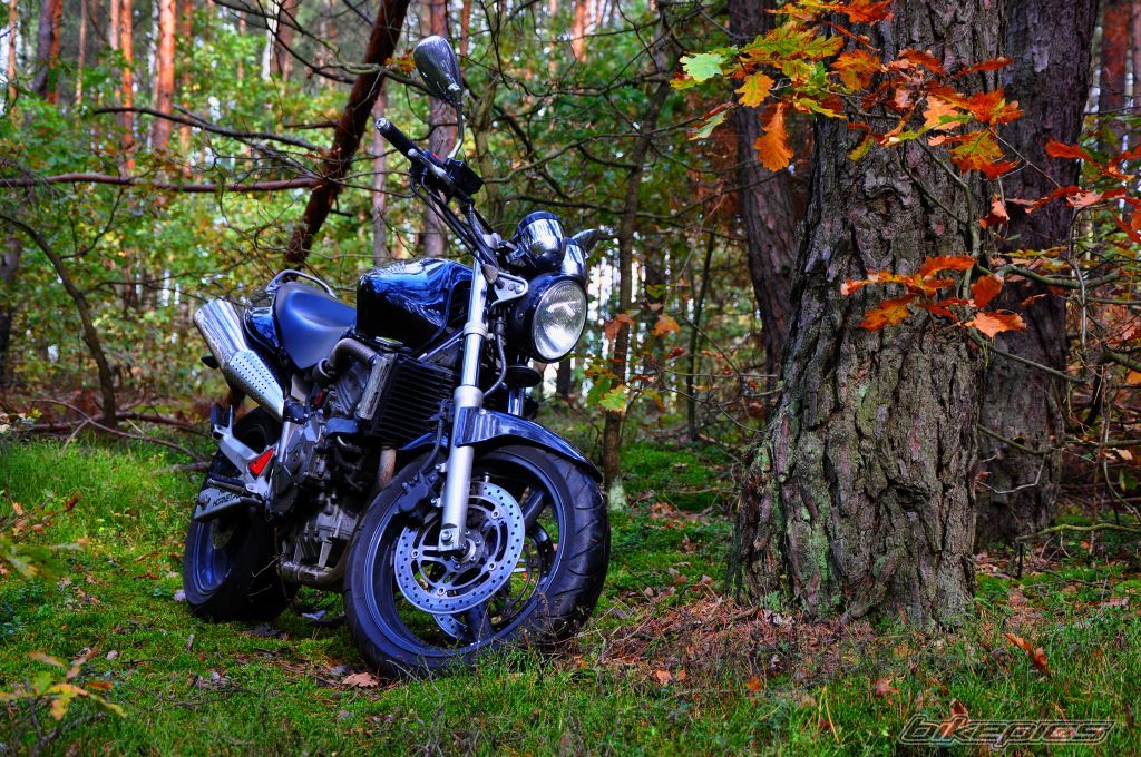 Bike Photo 2601907