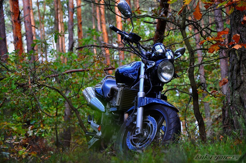 Bike Photo 2601908