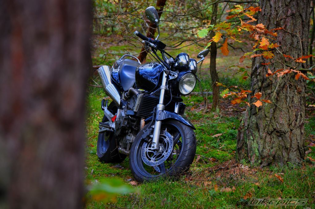 Bike Photo 2601909