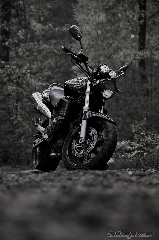 Bike Photo 2601925