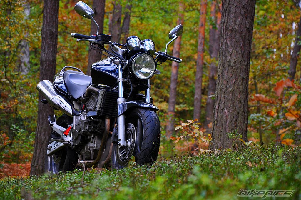 Bike Photo 2601926