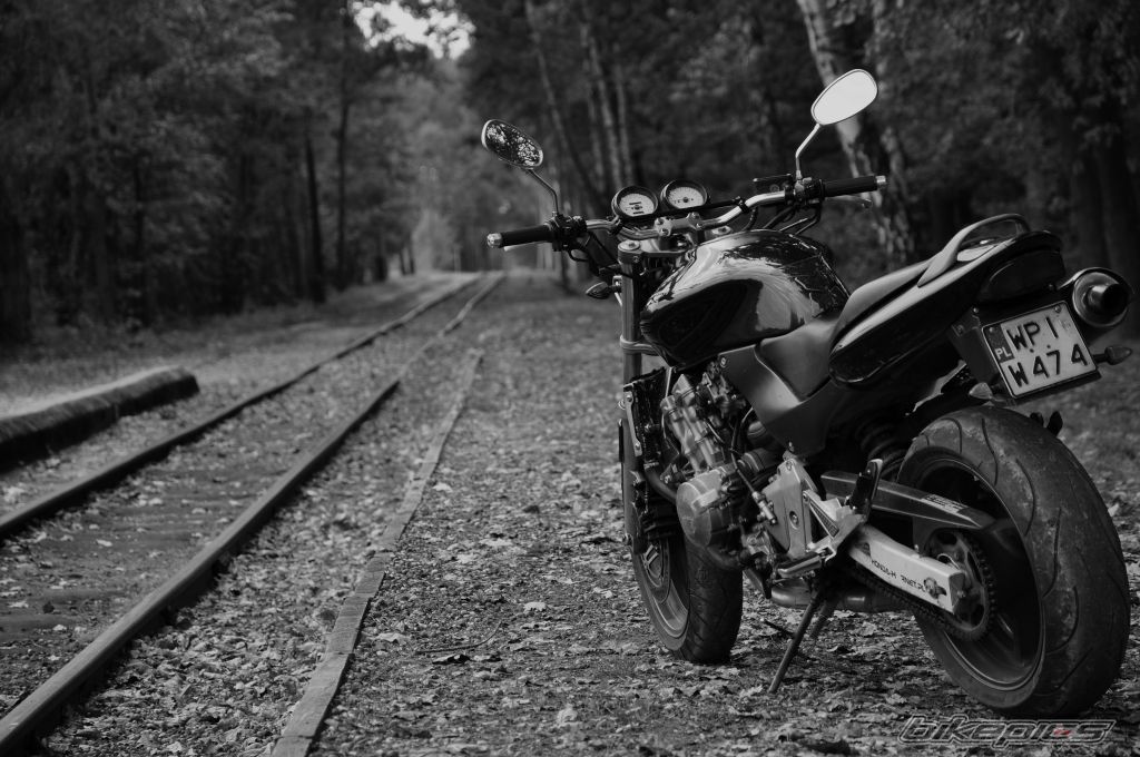 Bike Photo 2602235