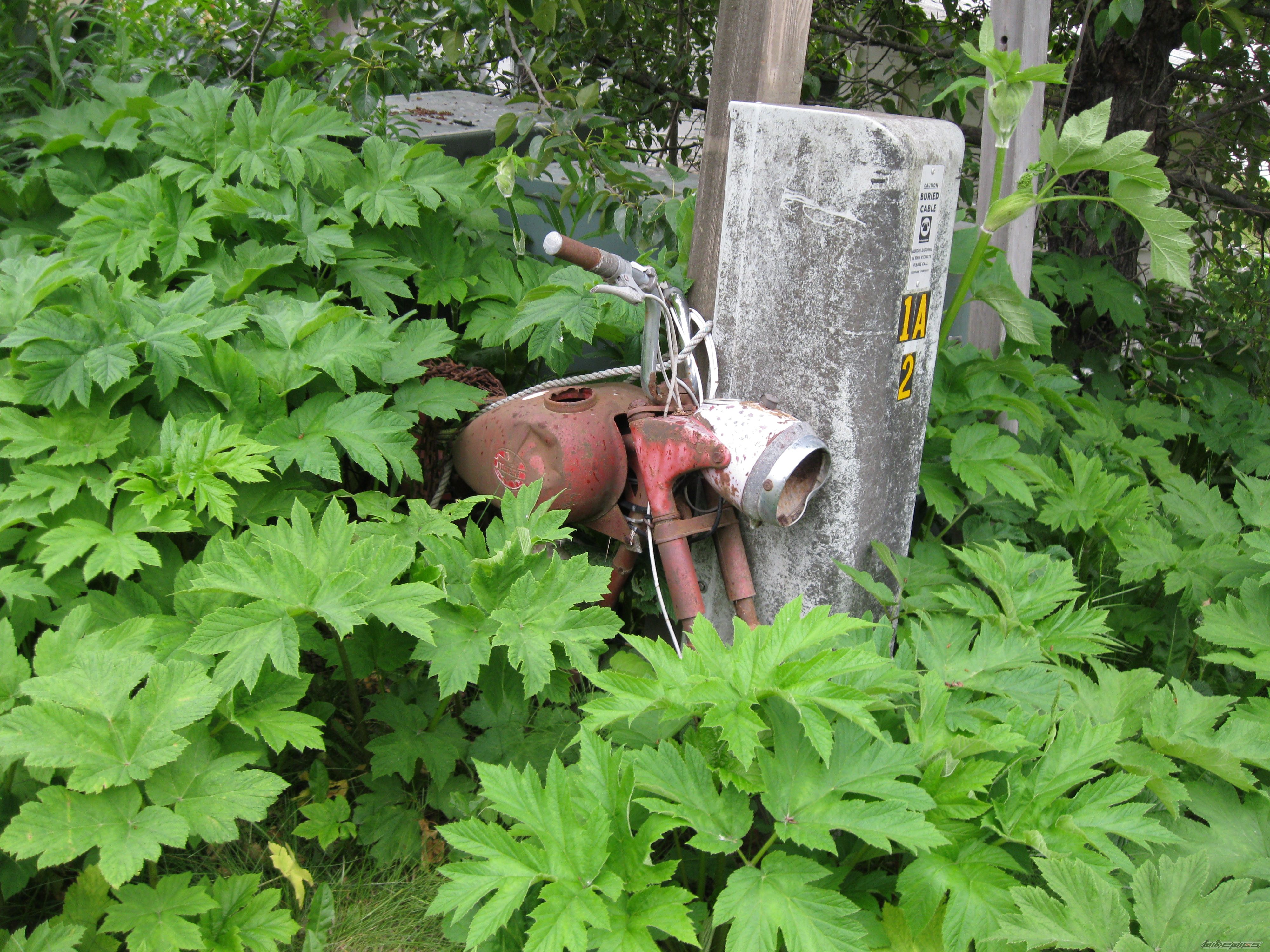 Photo 2602280