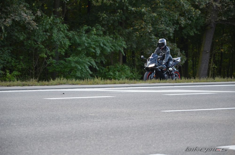 Photo 2602305