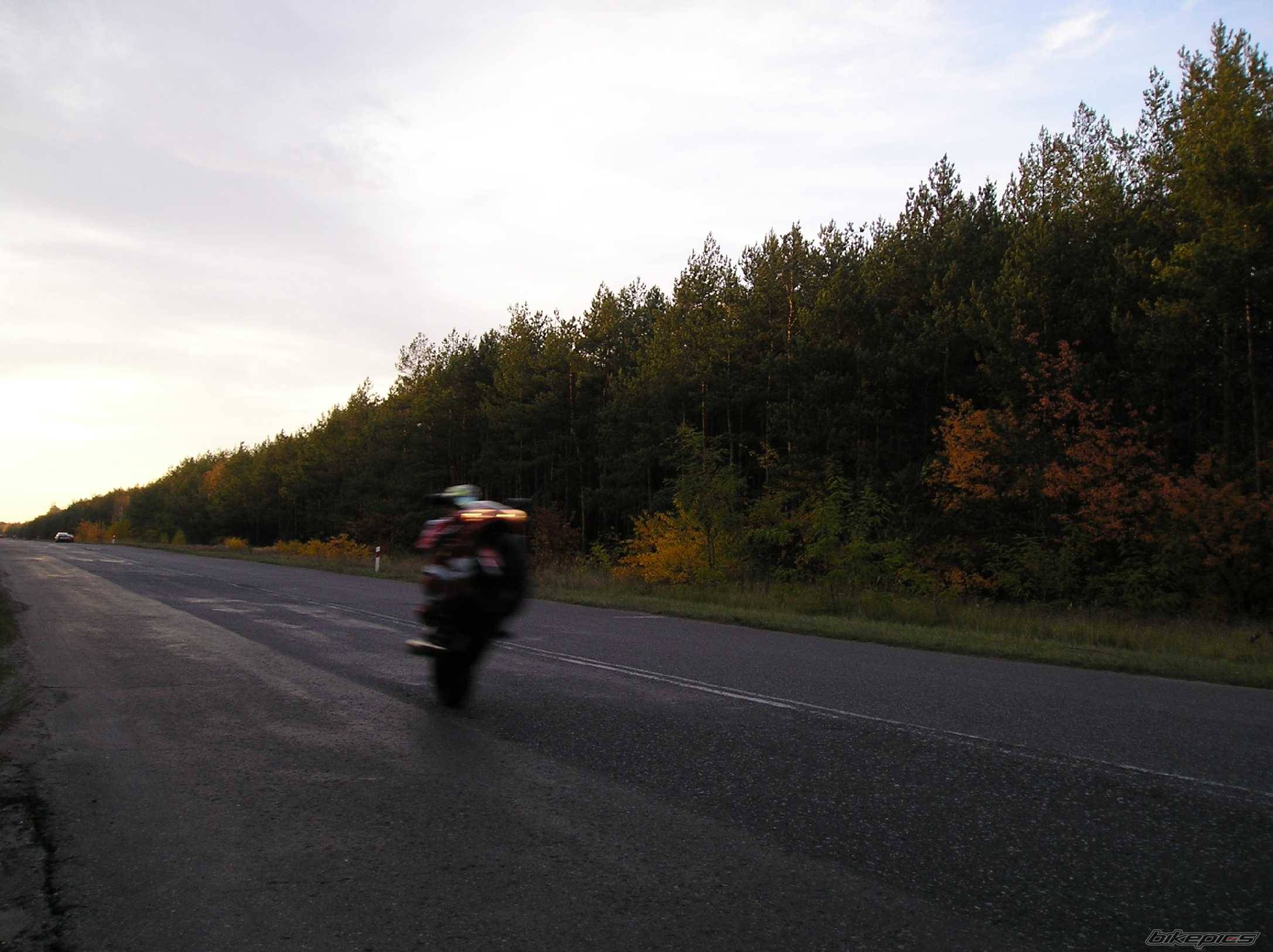 Photo 260236