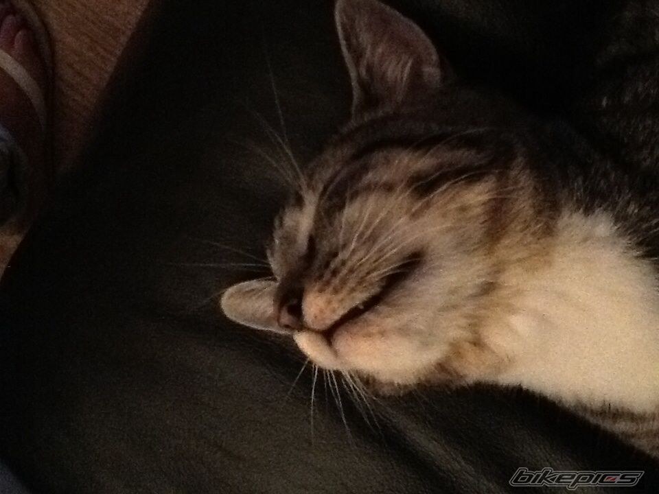 Photo 2602417