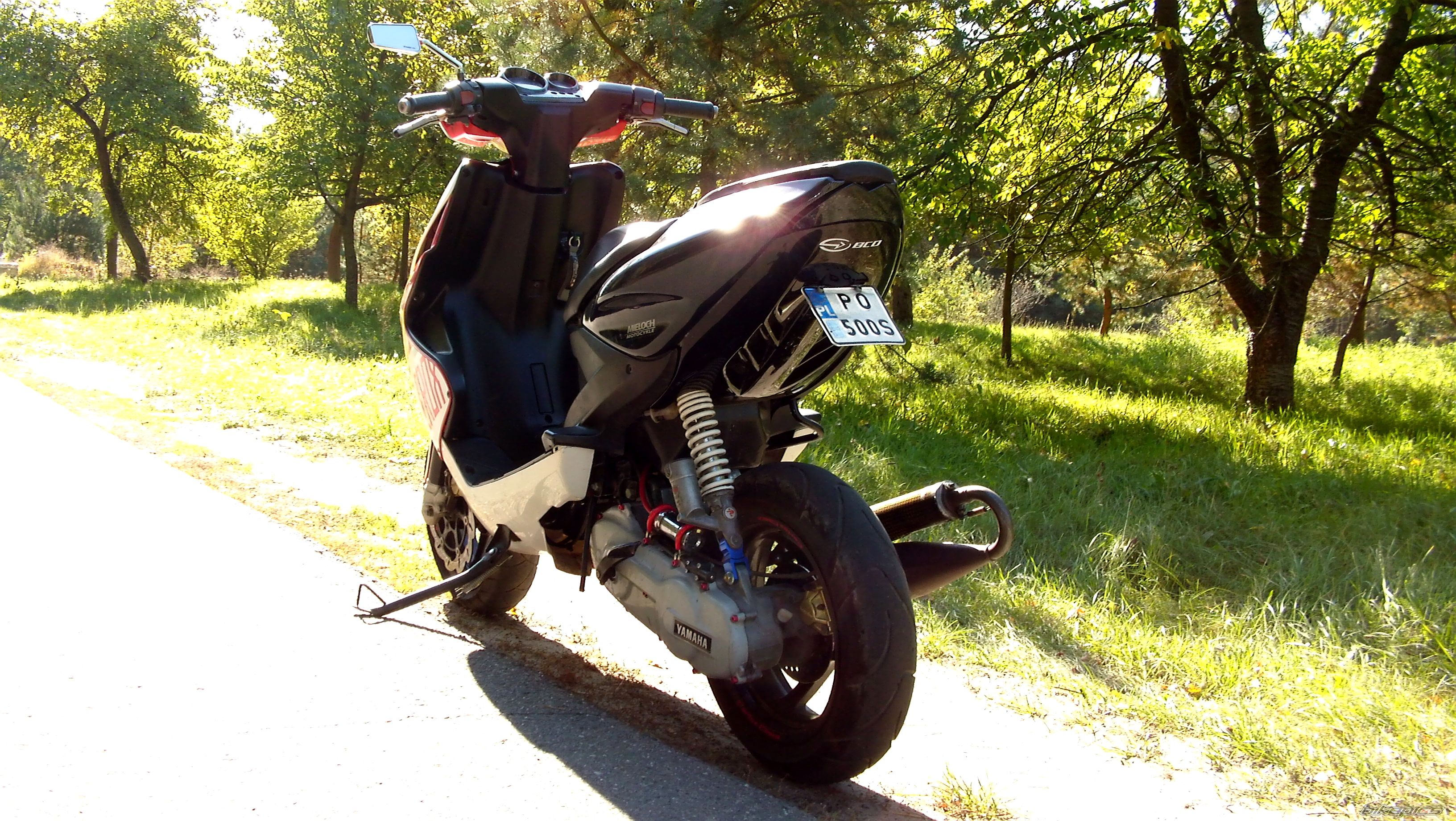 Photo 2602739