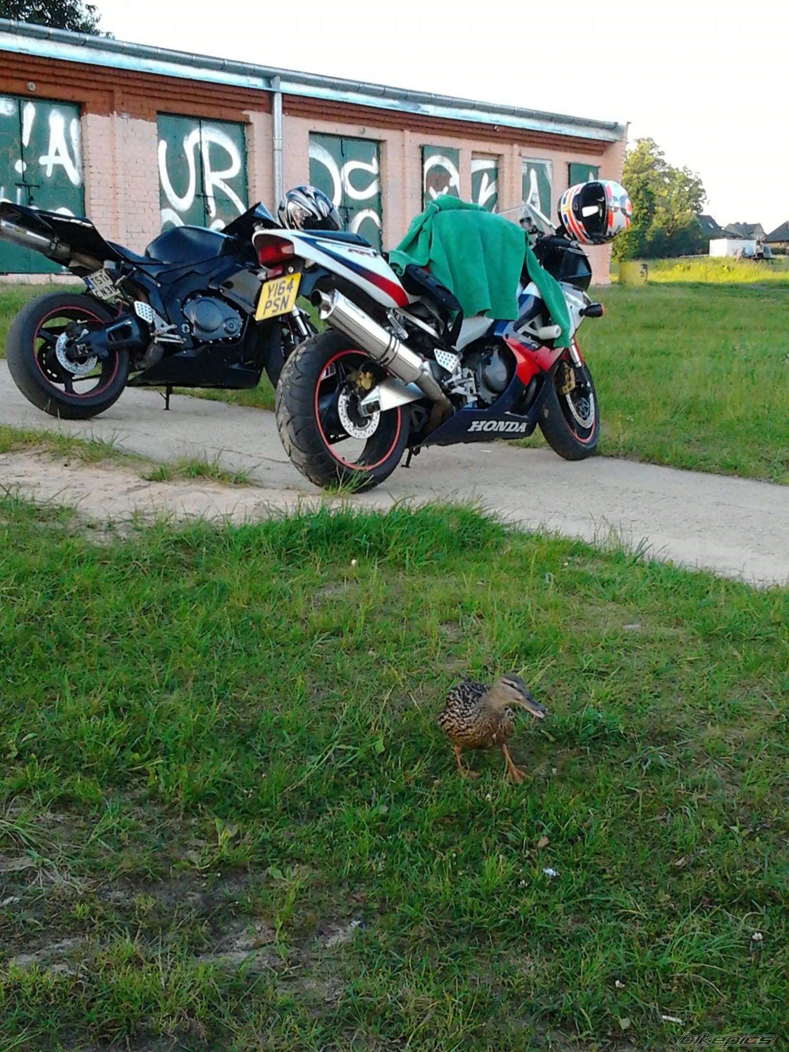 Photo 2602741
