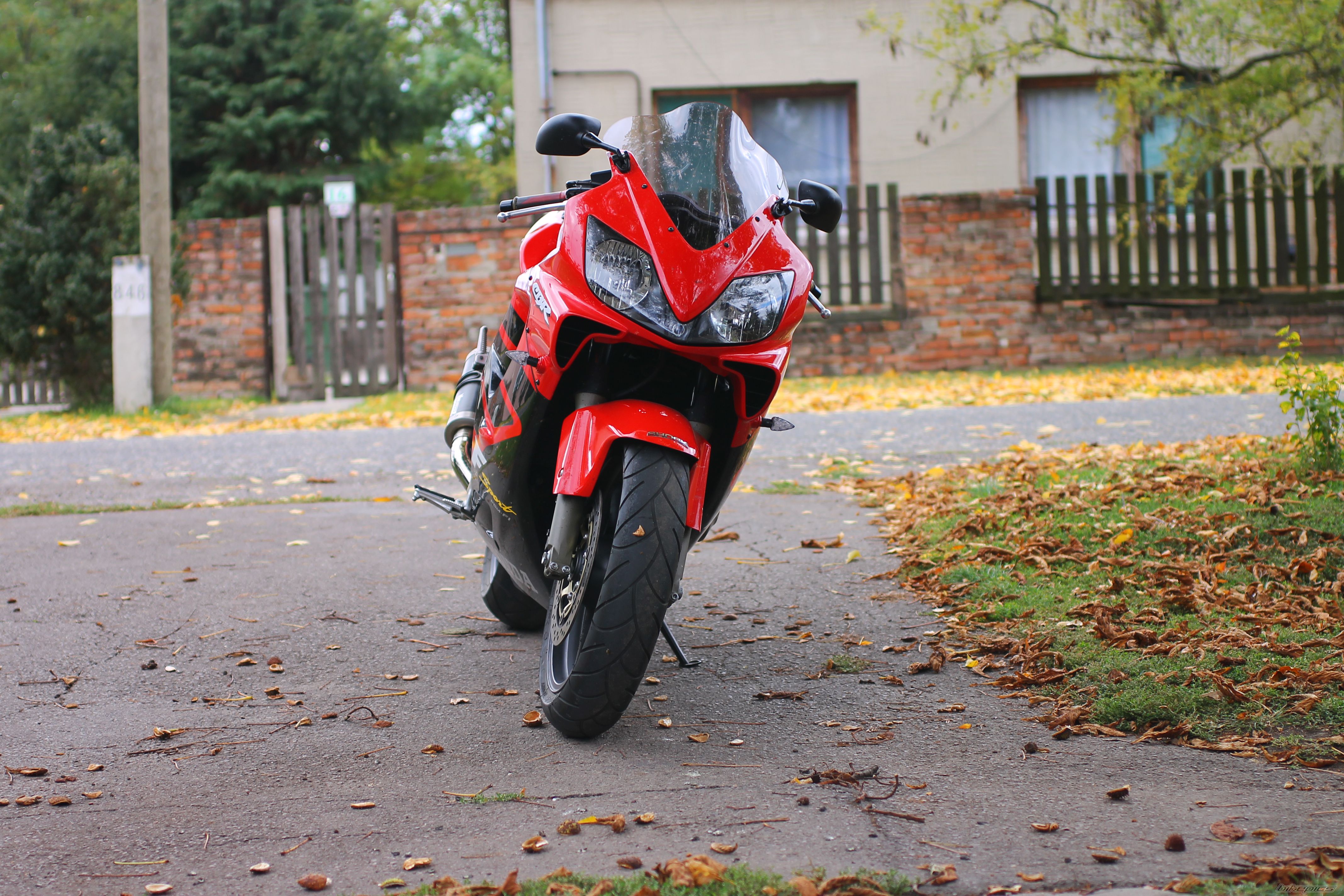 Photo 2602832