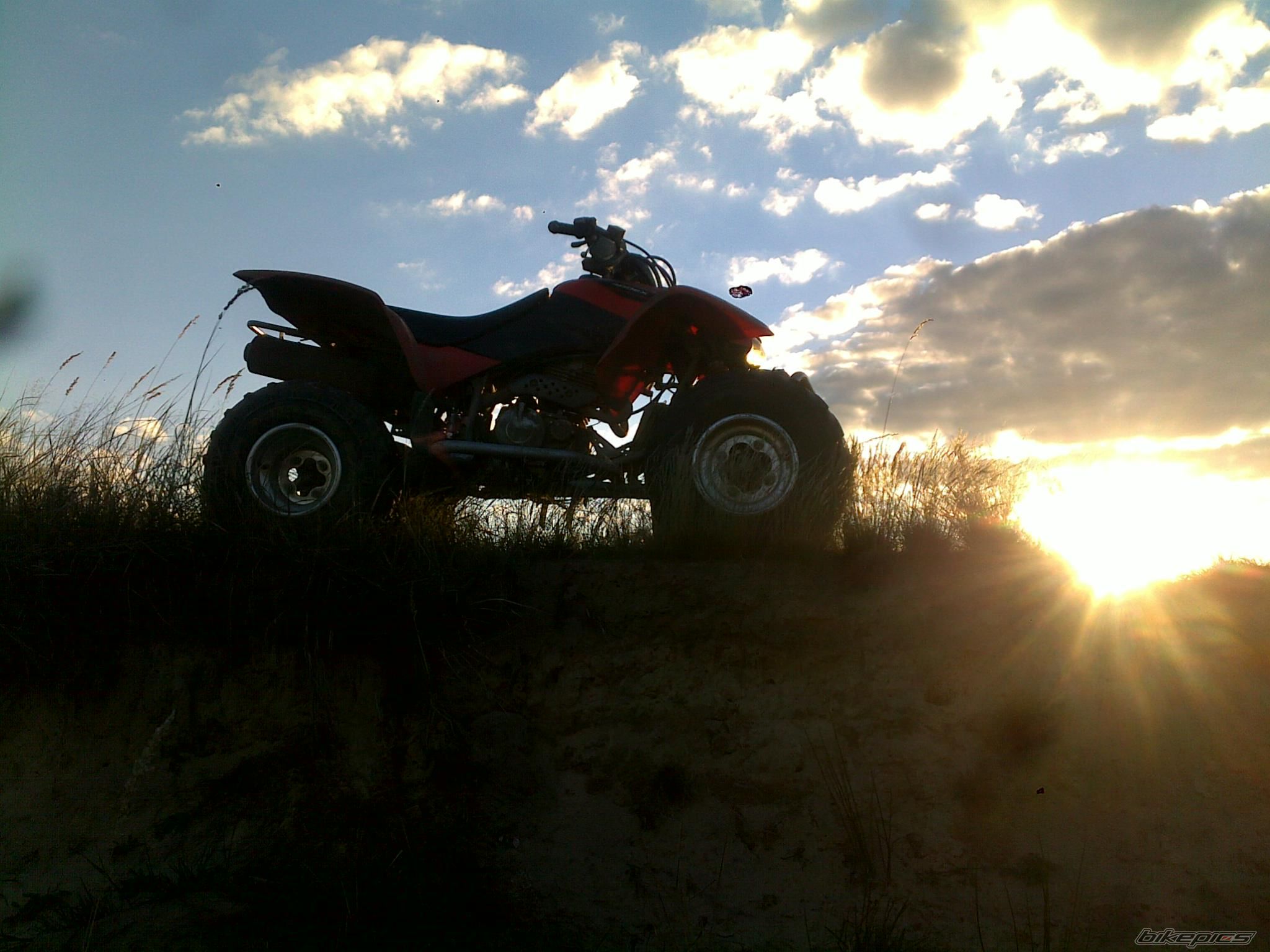 Photo 2602850