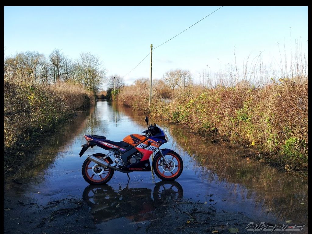 Photo 2602858