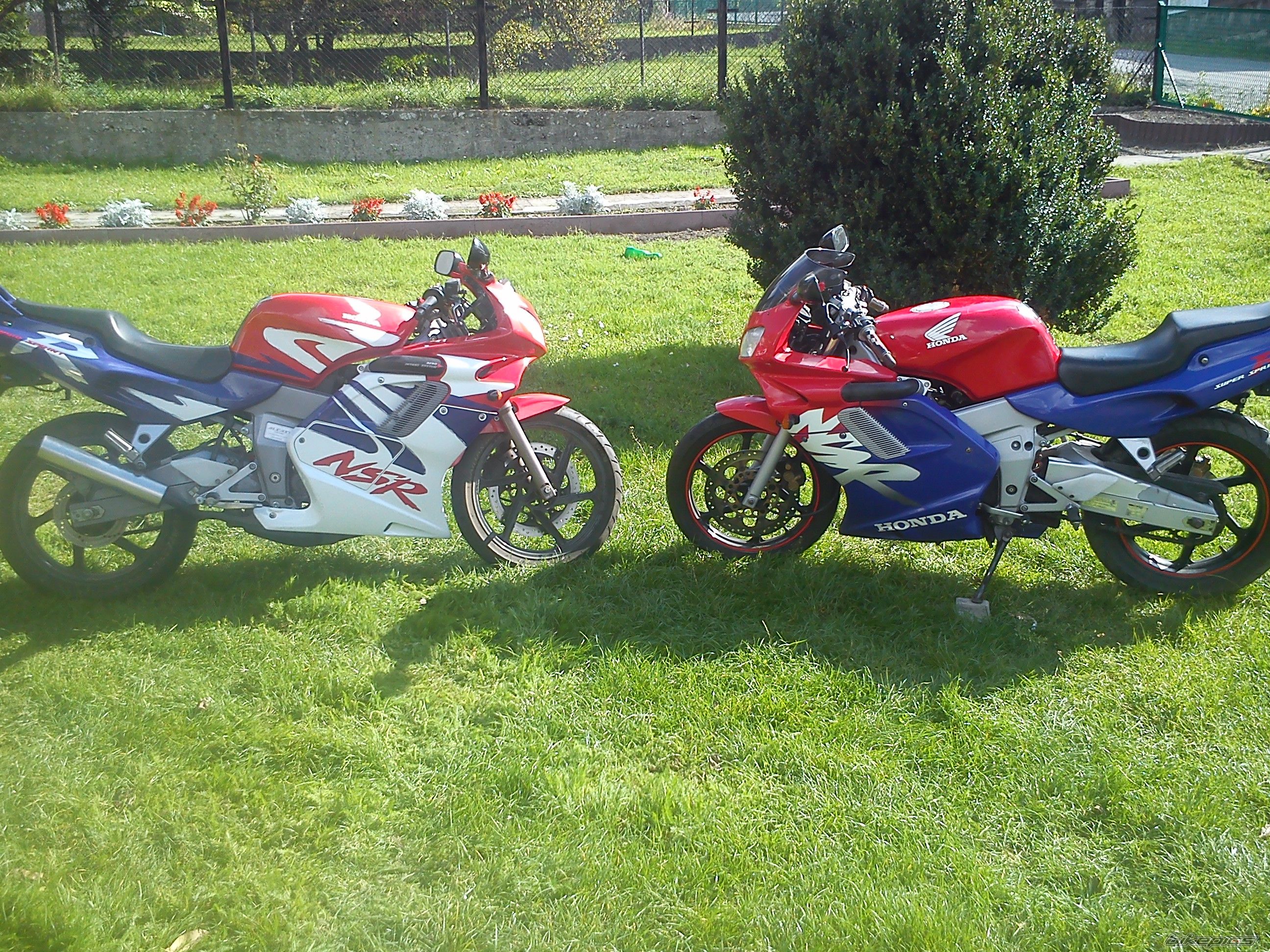 Photo 2602869