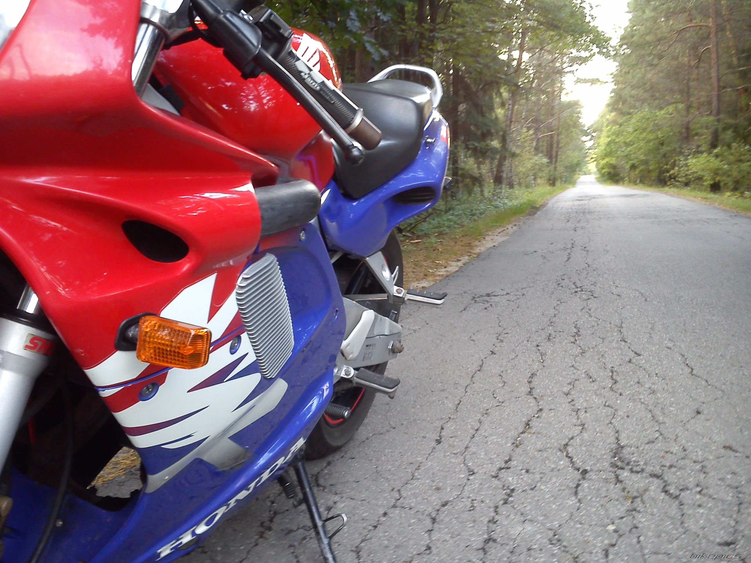 Photo 2602874