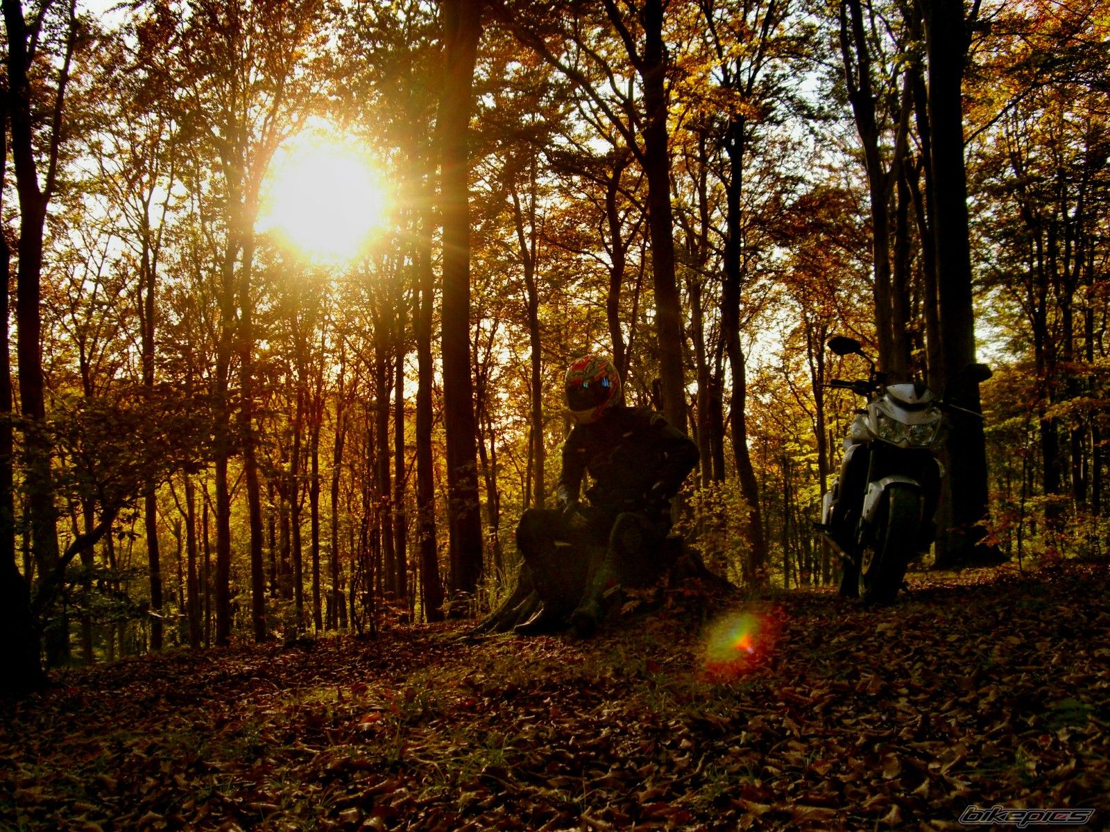 Bike Photo 2603104