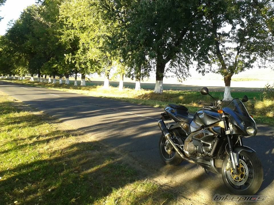Photo 2603110