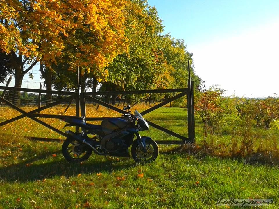 Photo 2603112