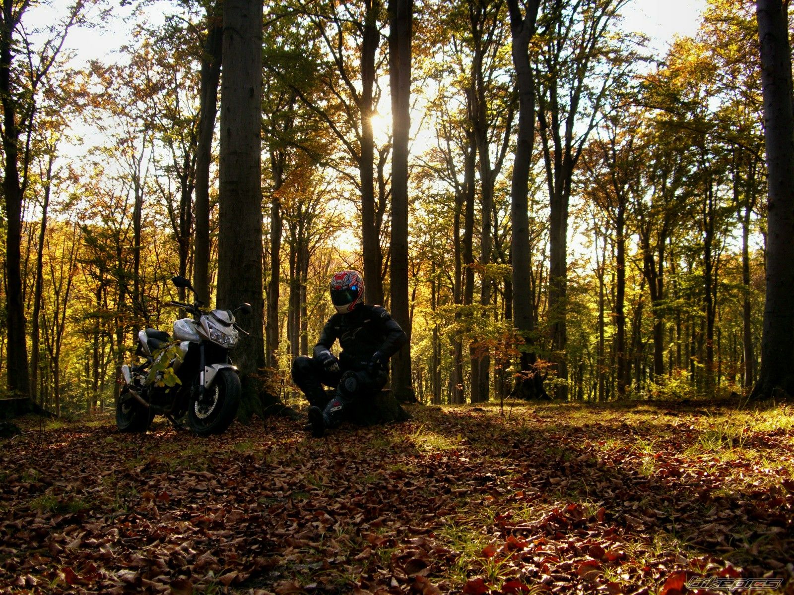 Bike Photo 2603149