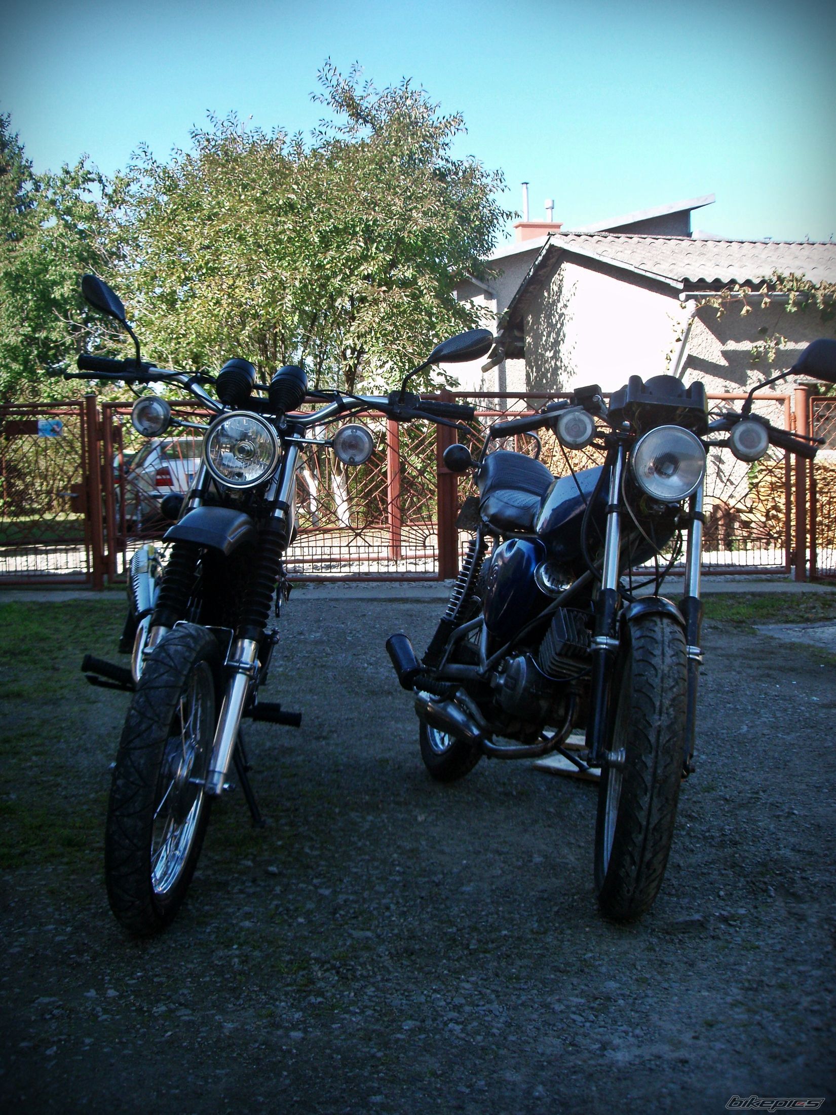 Photo 2603229