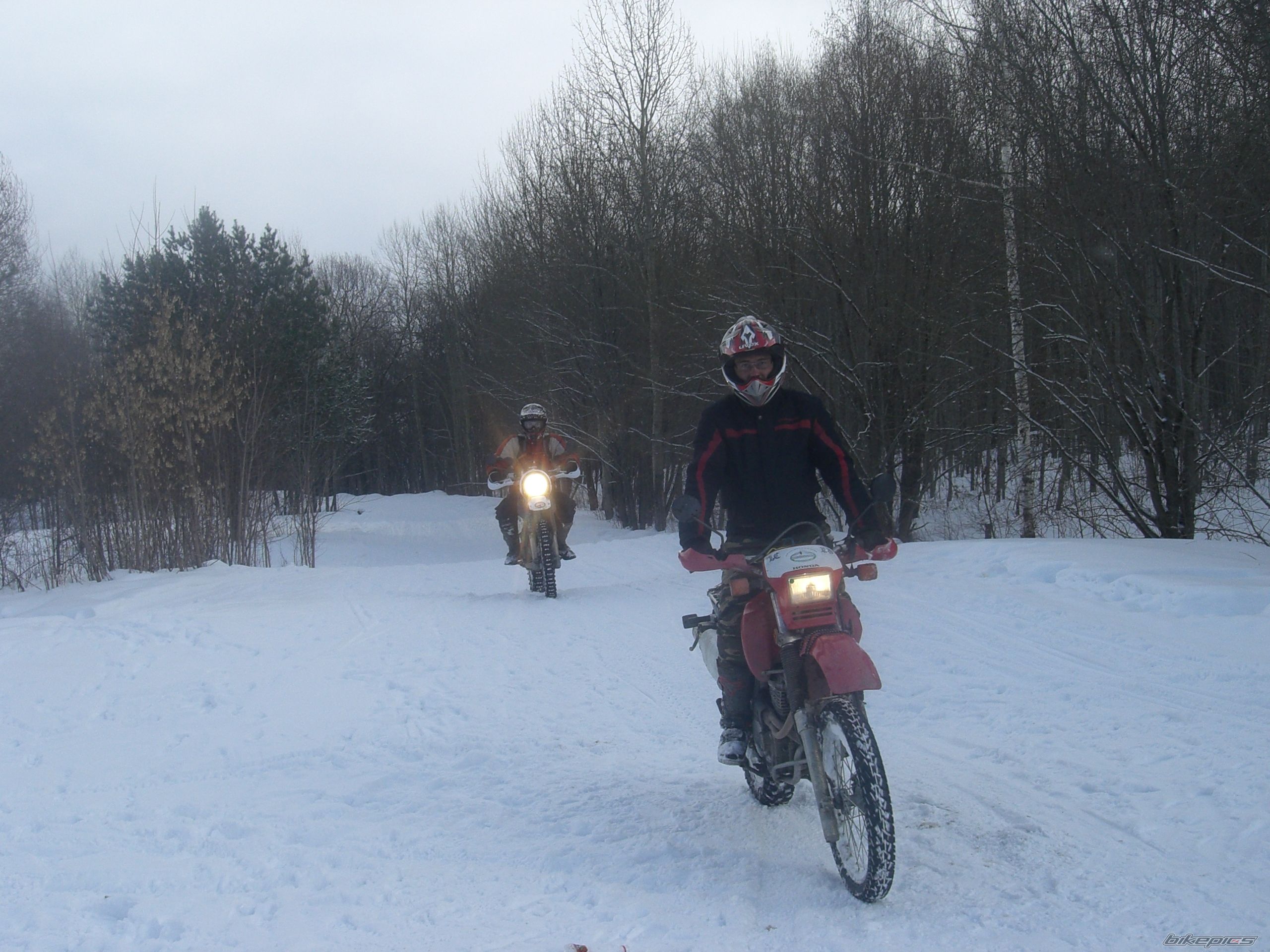 Photo 2603309