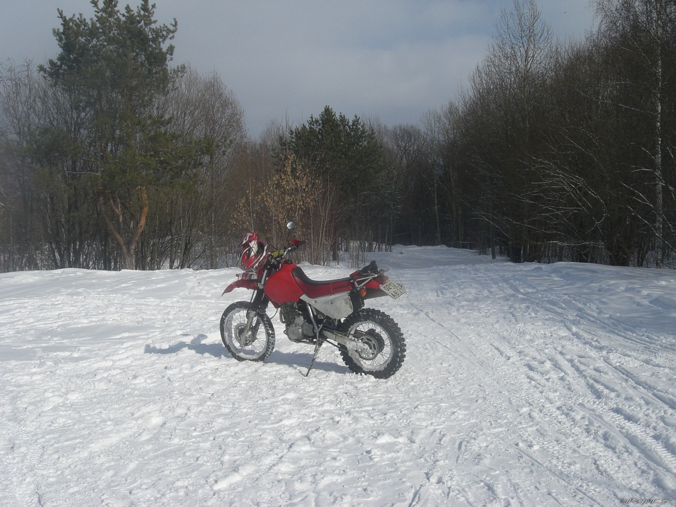 Photo 2603310