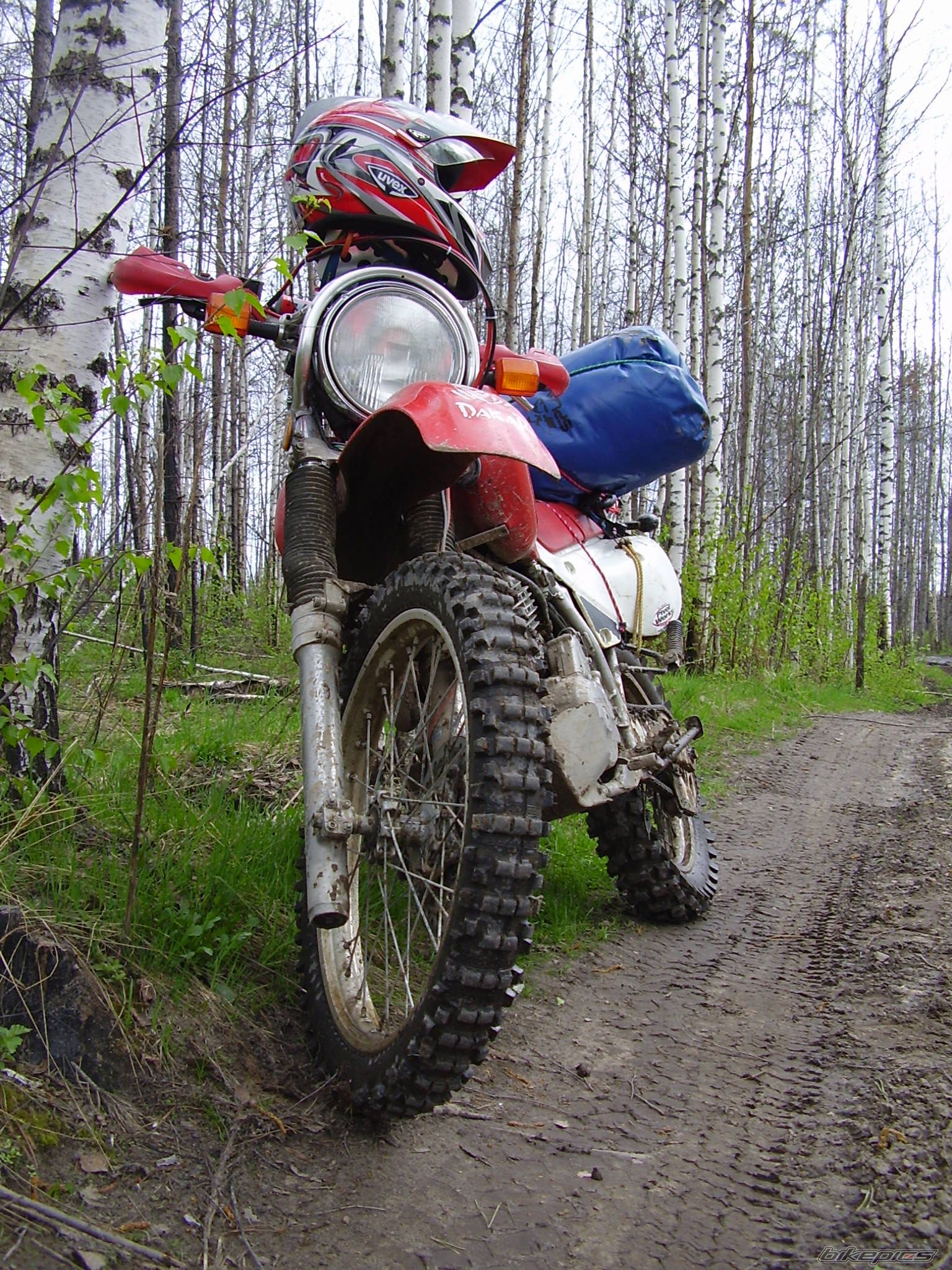 Photo 2603326