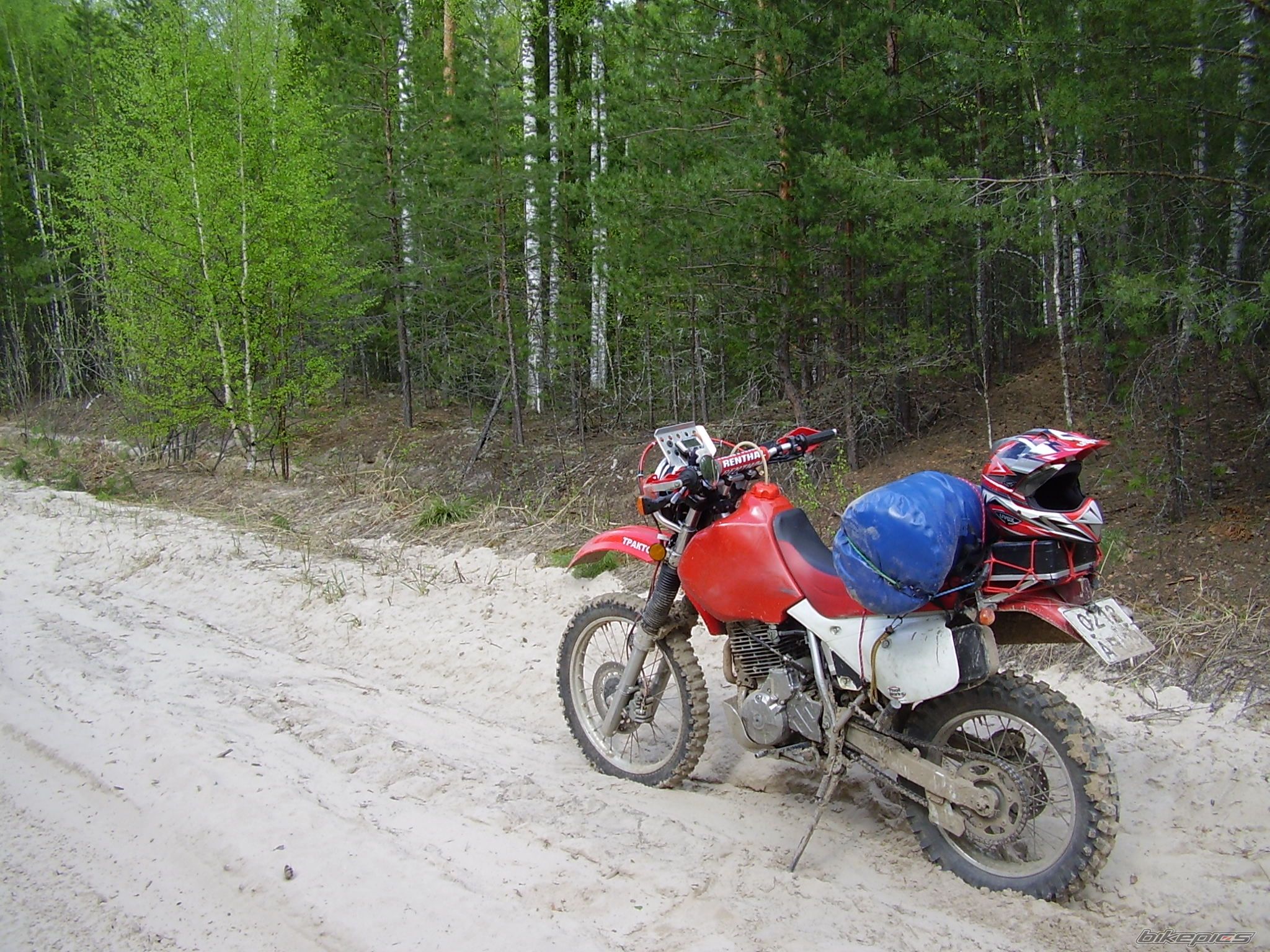 Photo 2603327