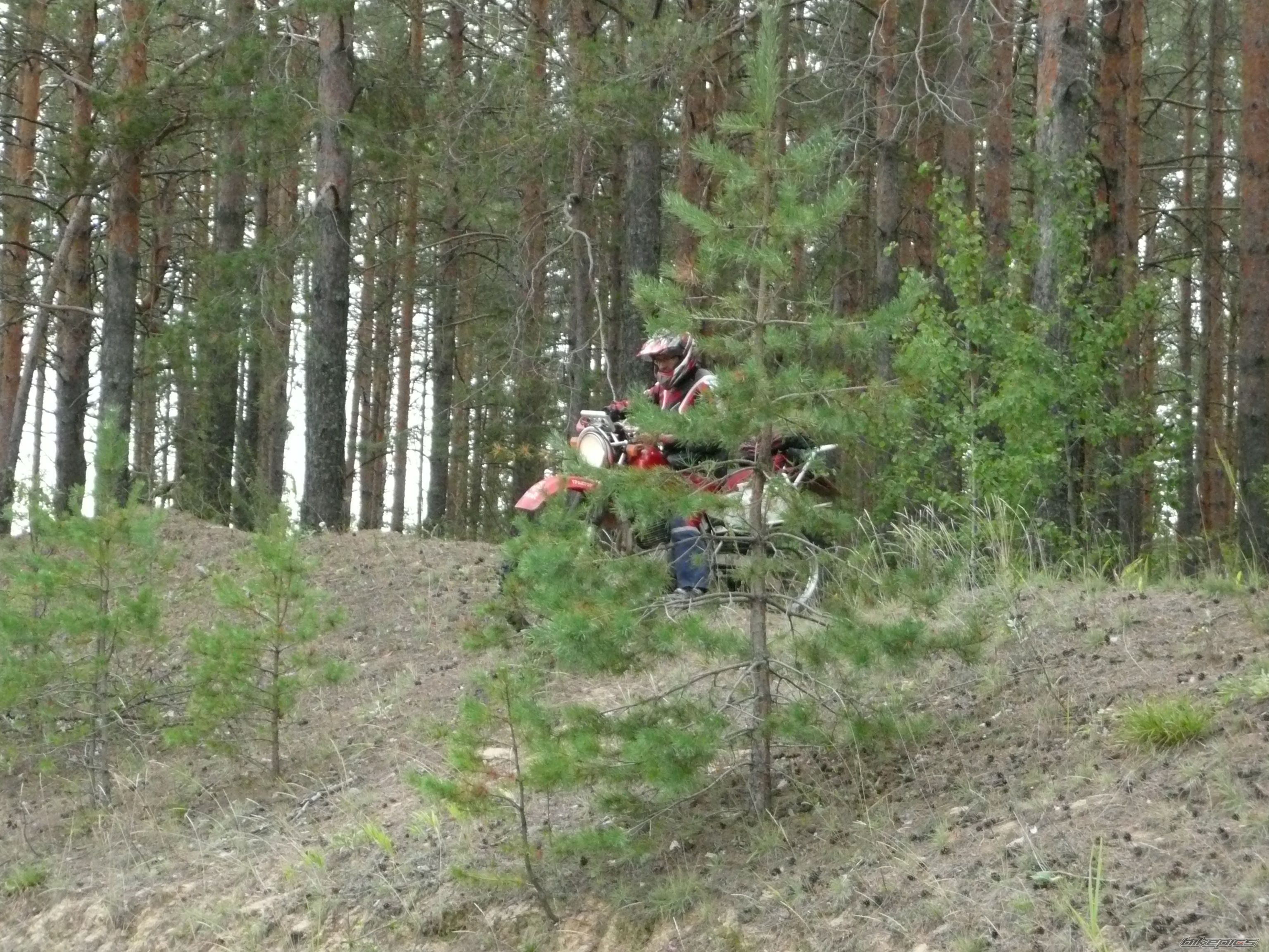 Photo 2603334