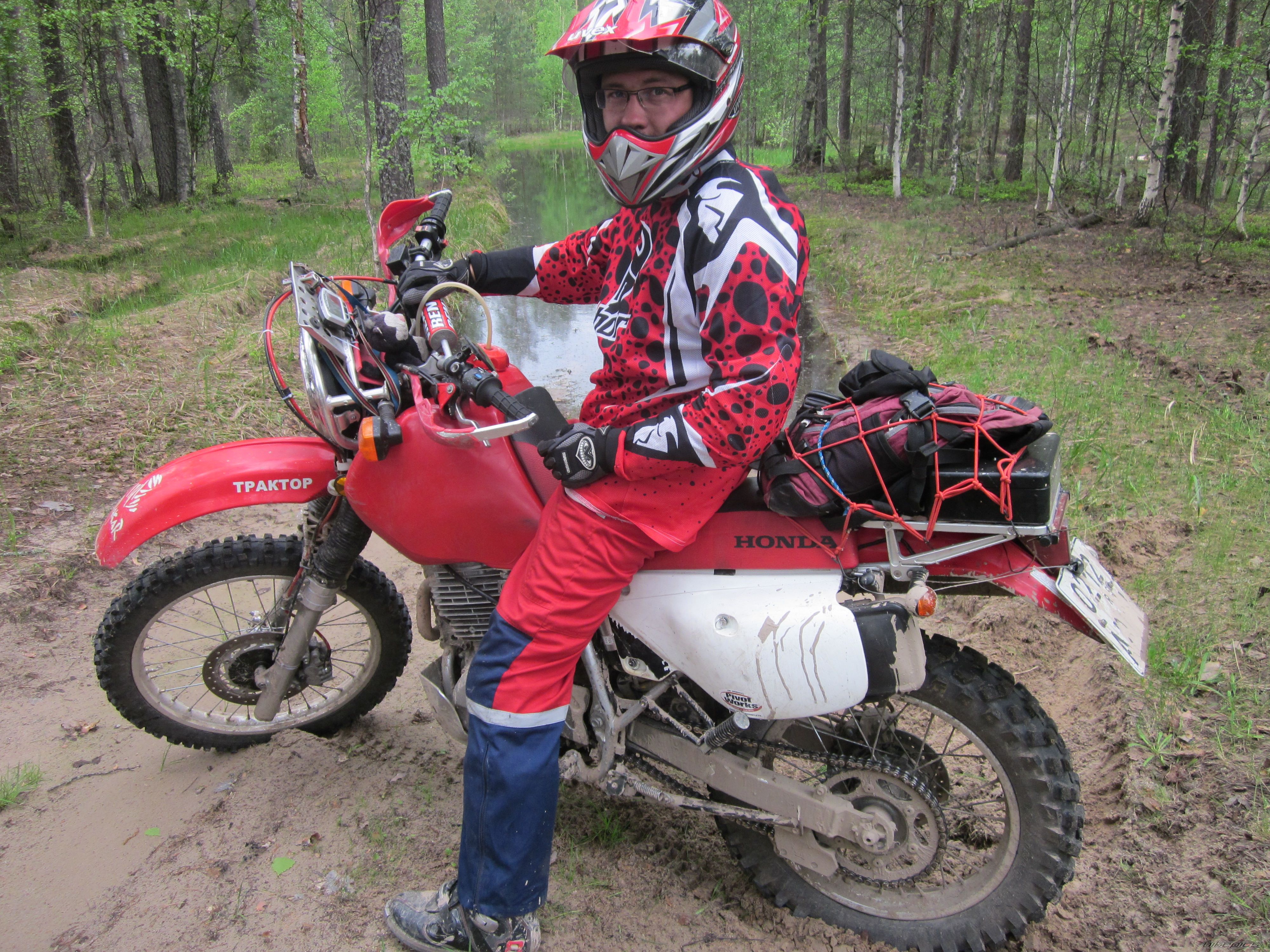 Photo 2603346
