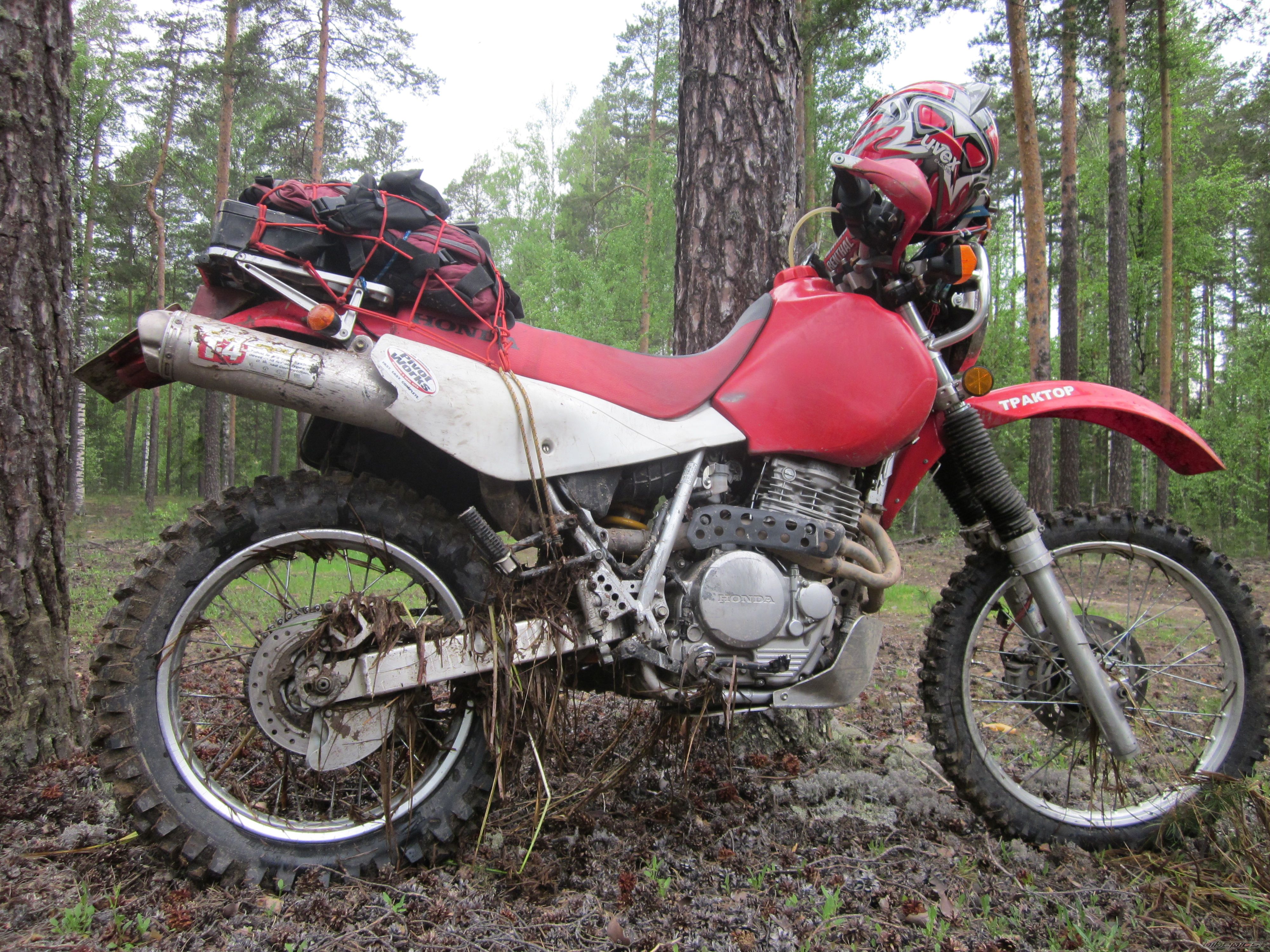 Photo 2603347