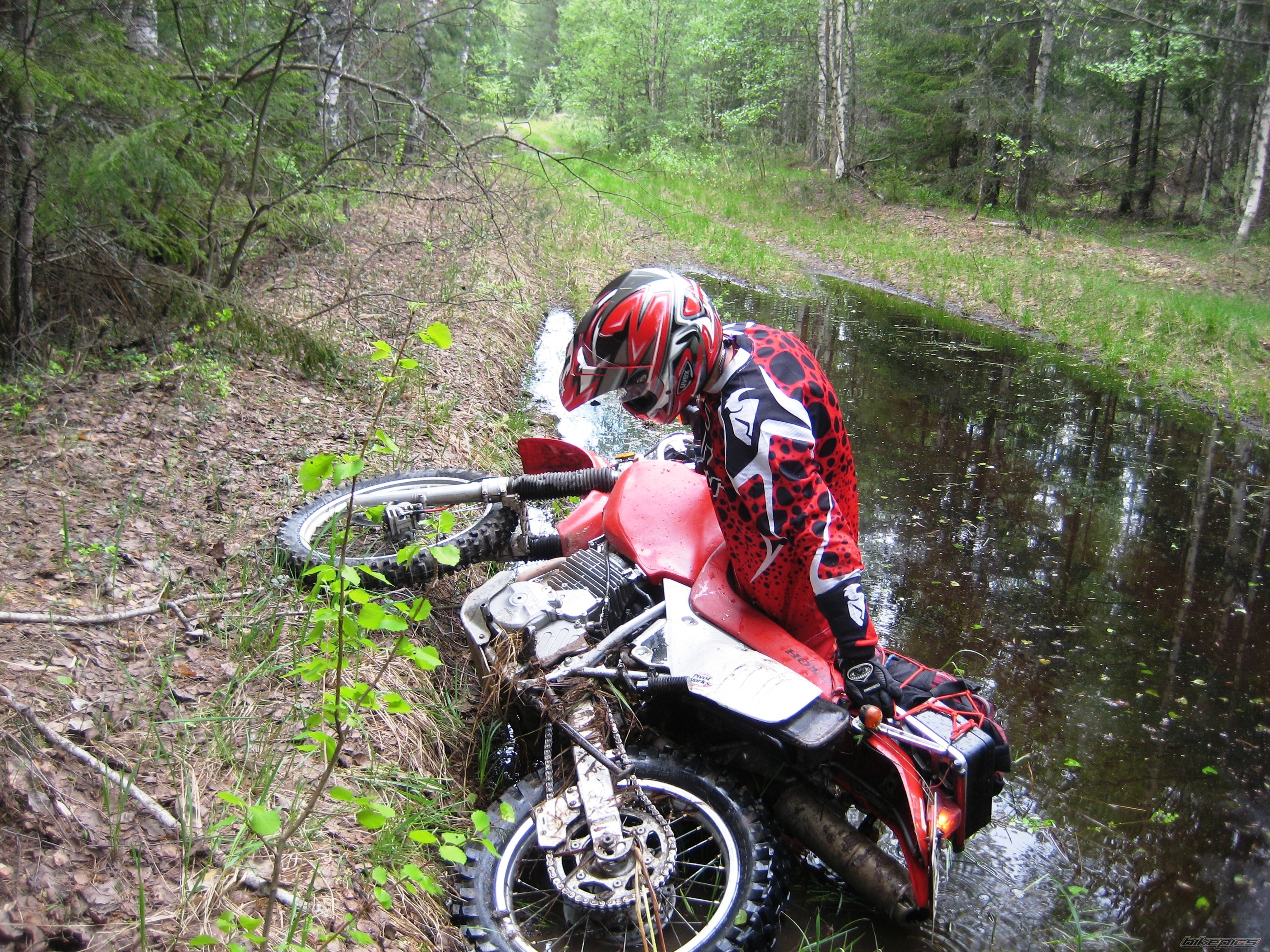 Photo 2603348