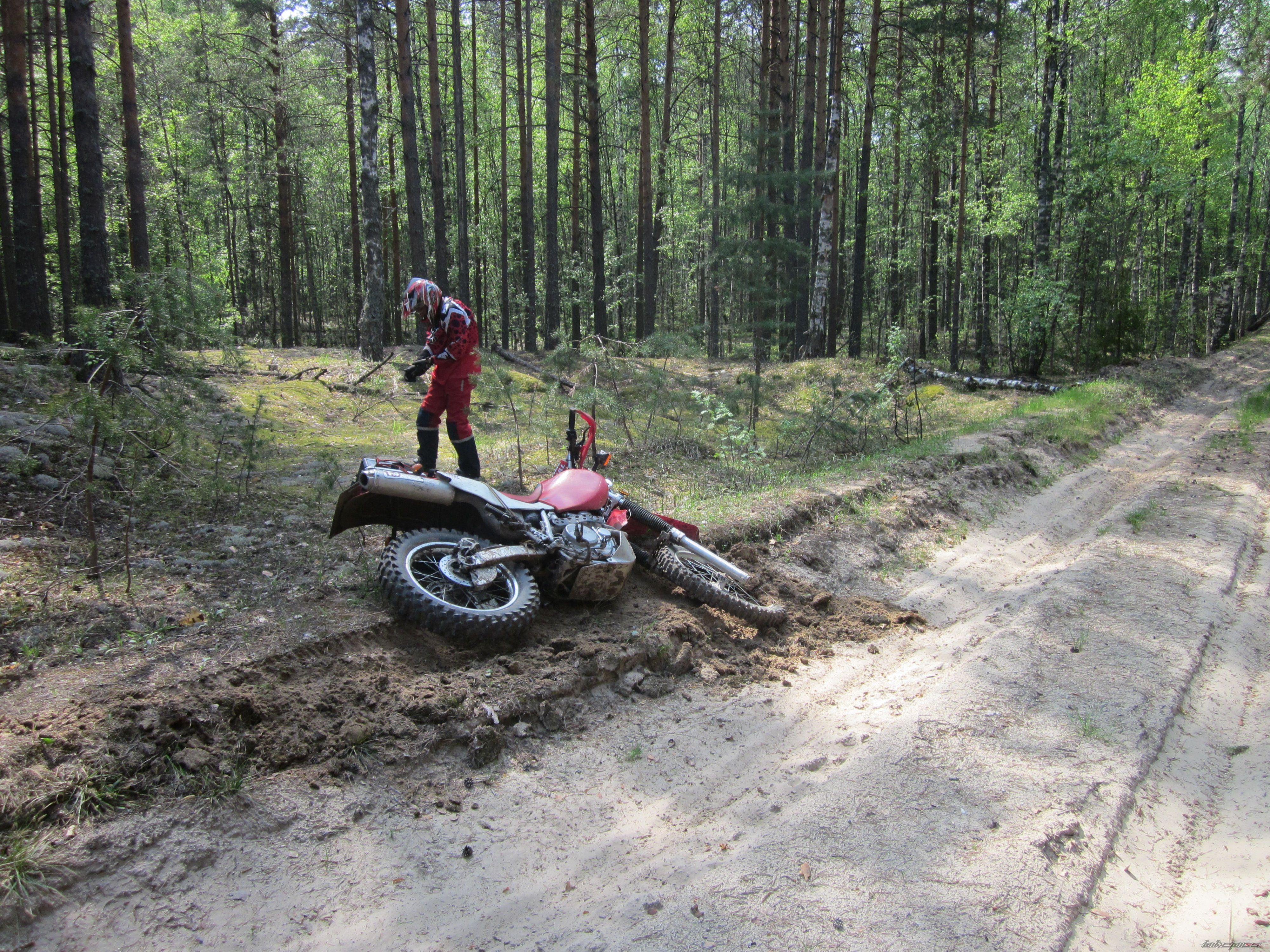 Photo 2603352