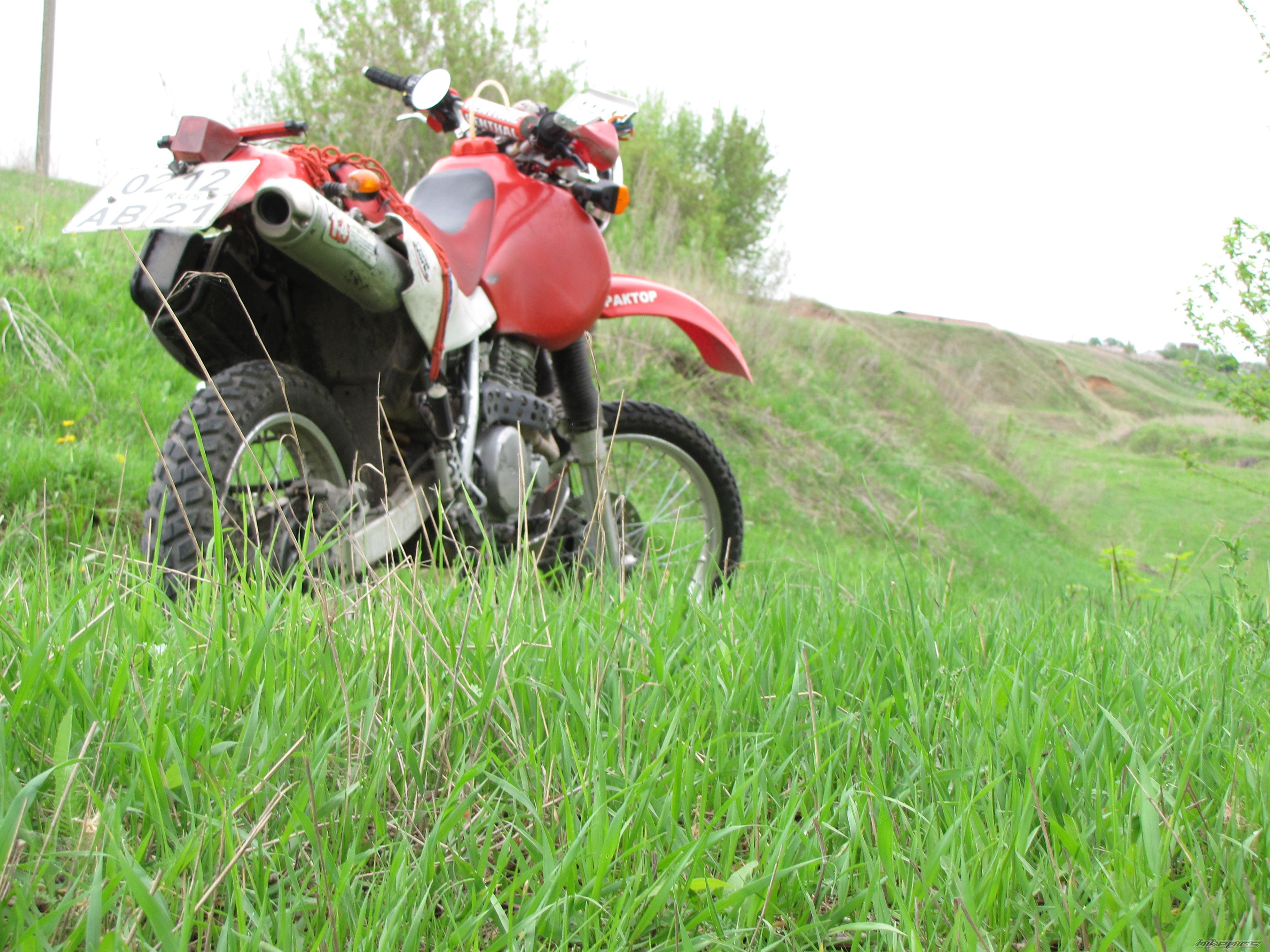 Photo 2603354